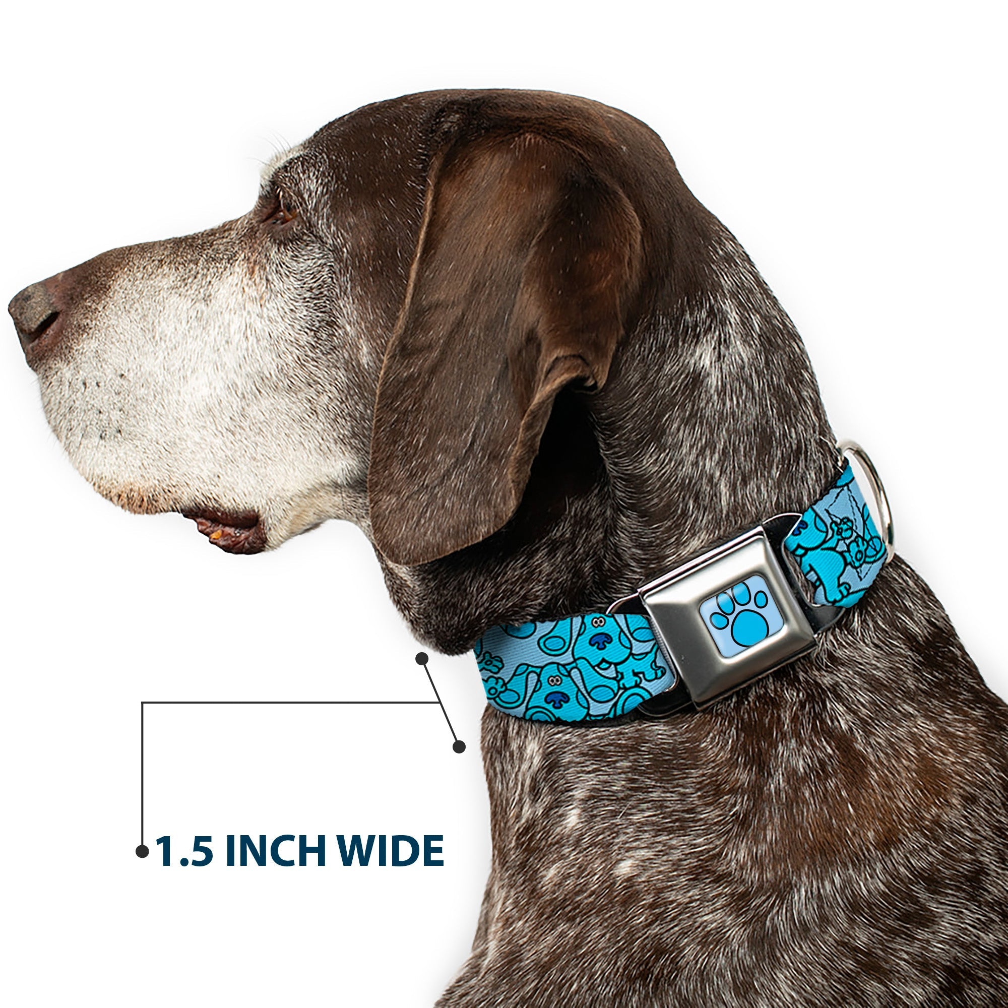 Blue's Clues Paw Full Color Blues Seatbelt Buckle Collar - Blue's Clues Blue Poses Scattered Blues