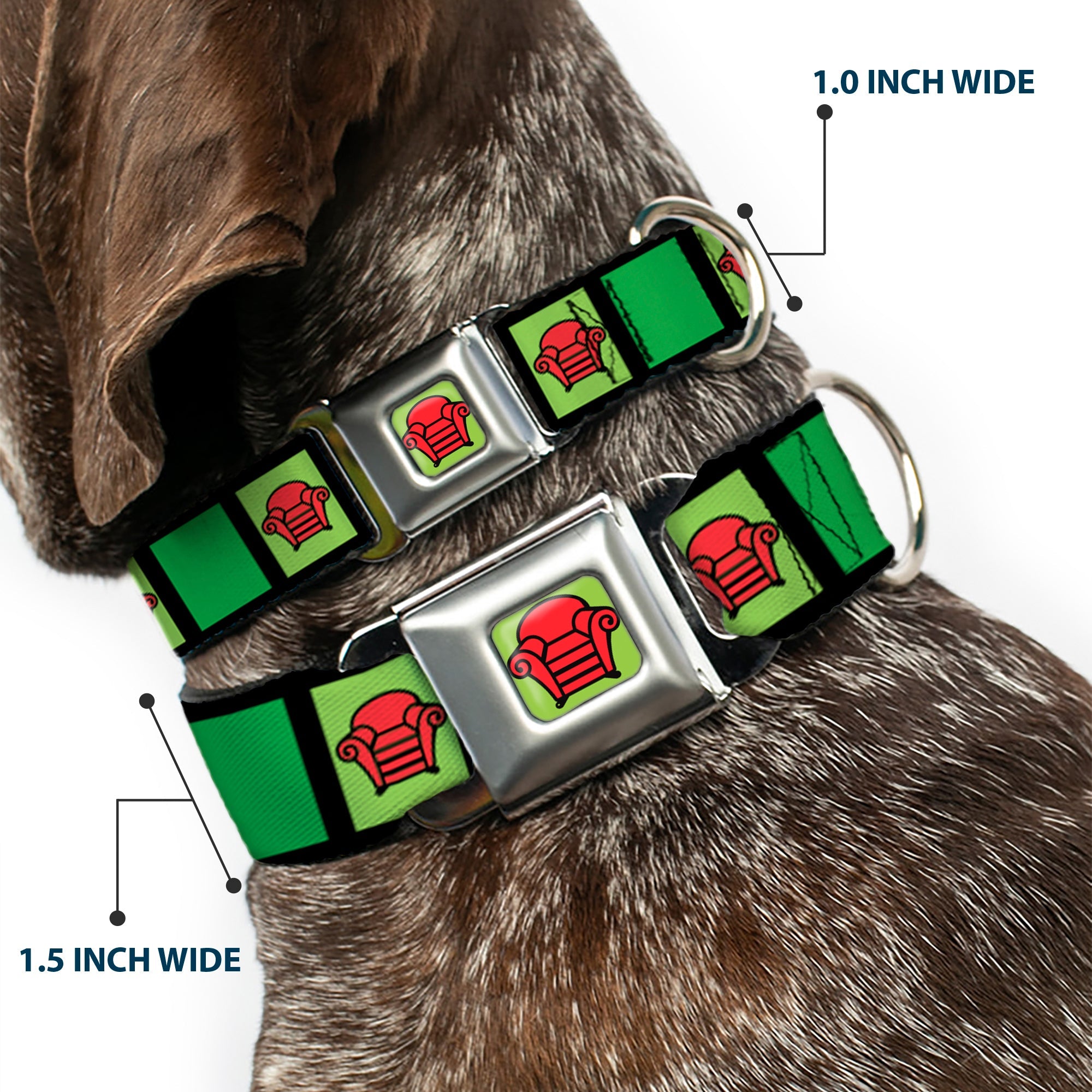 Blue's Clues Steve's Thinking Chair Full Color Green/Black/Red Seatbelt Buckle Collar - Blue's Clues Steve's Stripe and Thinking Chair Black/Greens/Red