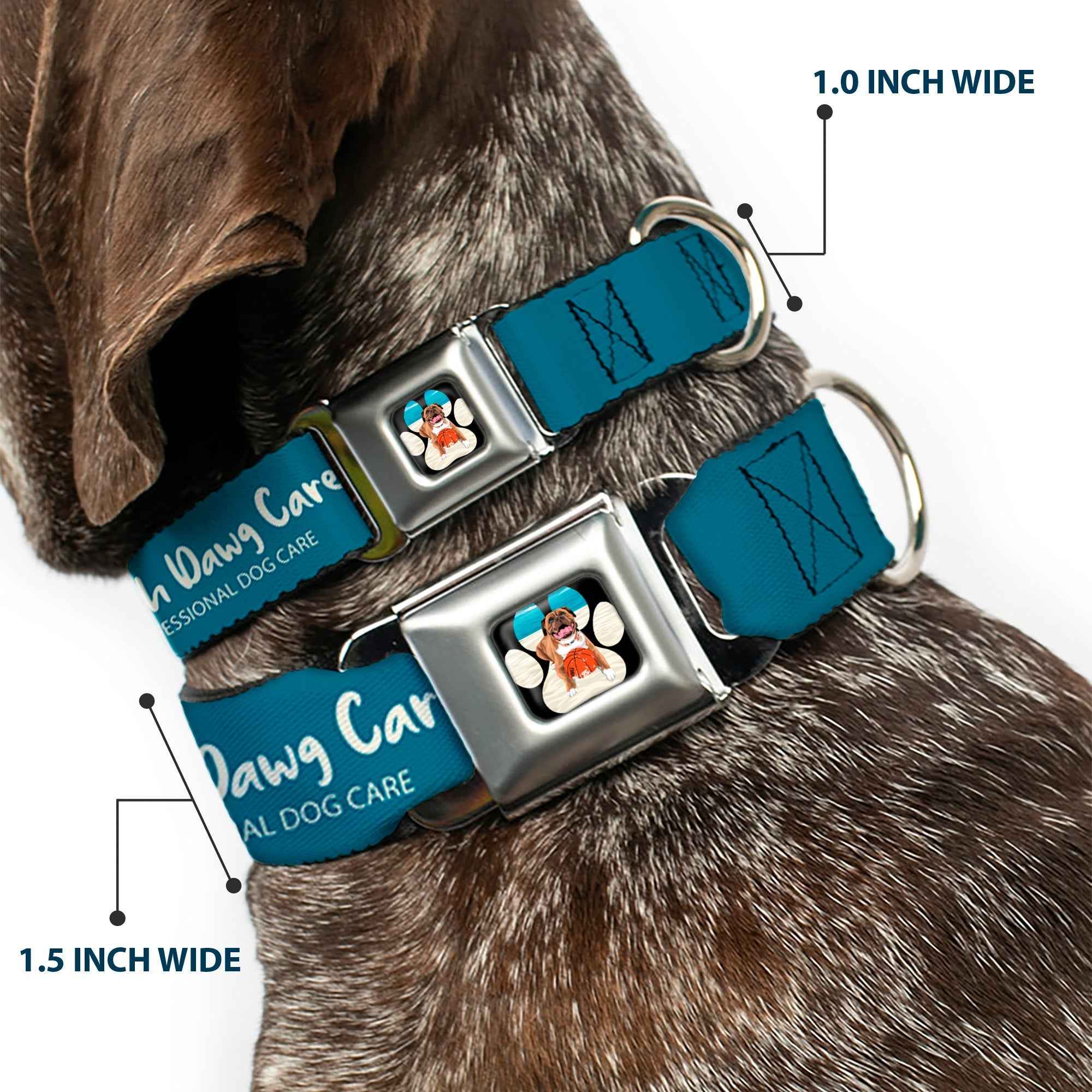 Buckle-Down Beach Dawg Care Paw Logo Full Color Black Seatbelt Buckle Dog Collar - Beach Dawg Care All Dogs Are Equal Turquoise/White