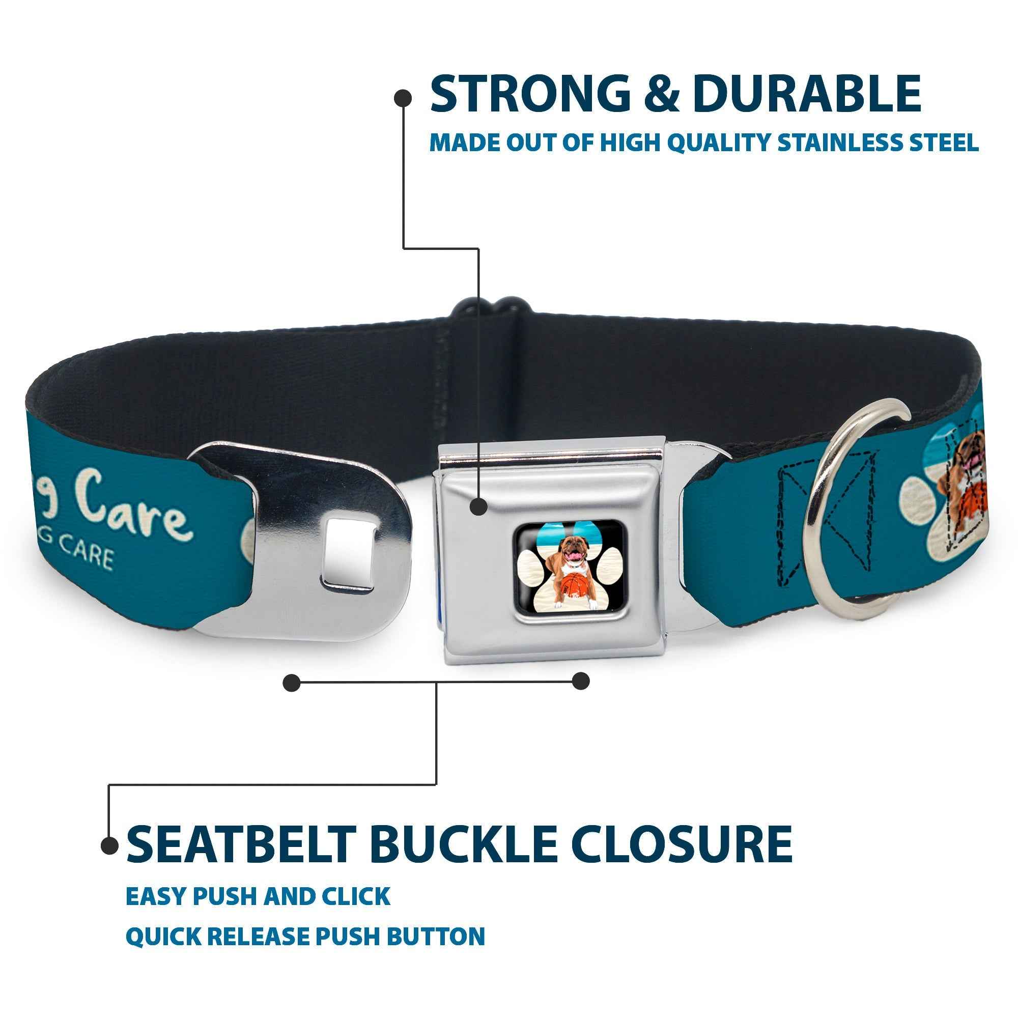 Buckle-Down Beach Dawg Care Paw Logo Full Color Black Seatbelt Buckle Dog Collar - Beach Dawg Care All Dogs Are Equal Turquoise/White