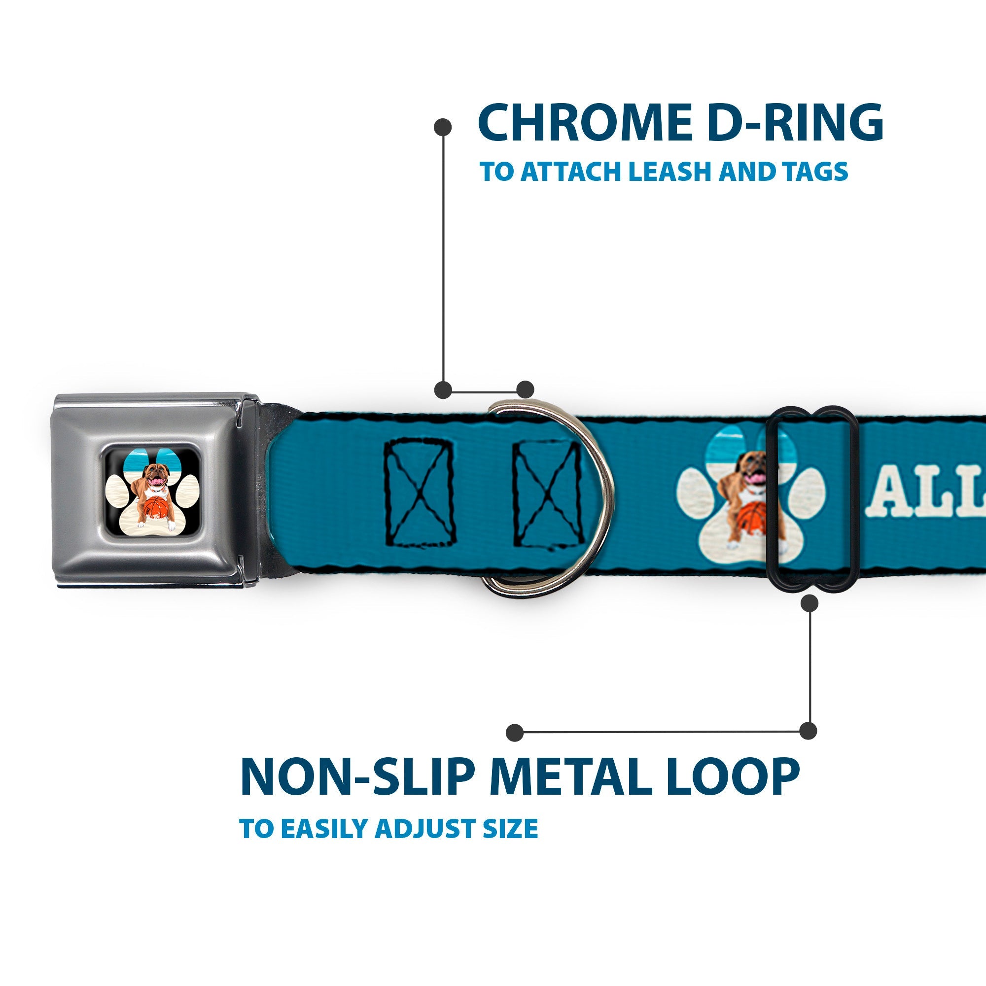 Buckle-Down Beach Dawg Care Paw Logo Full Color Black Seatbelt Buckle Dog Collar - Beach Dawg Care All Dogs Are Equal Turquoise/White