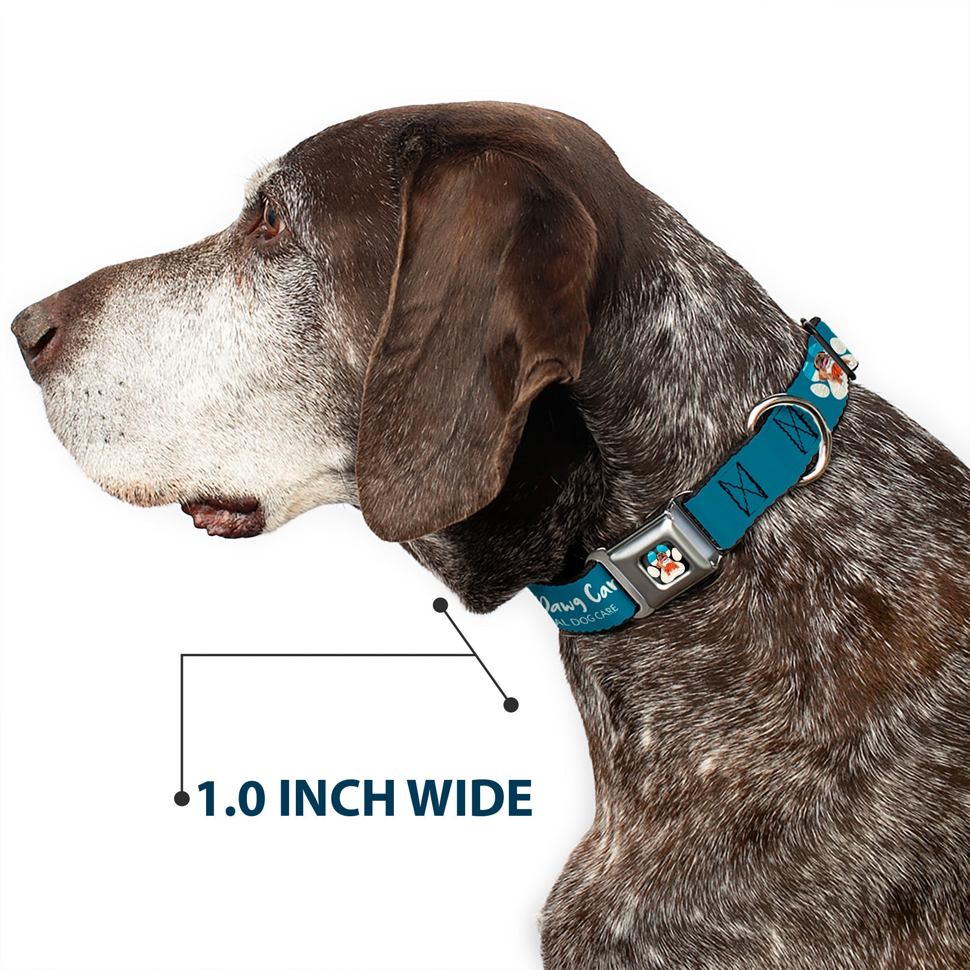 Buckle-Down Beach Dawg Care Paw Logo Full Color Black Seatbelt Buckle Dog Collar - Beach Dawg Care All Dogs Are Equal Turquoise/White