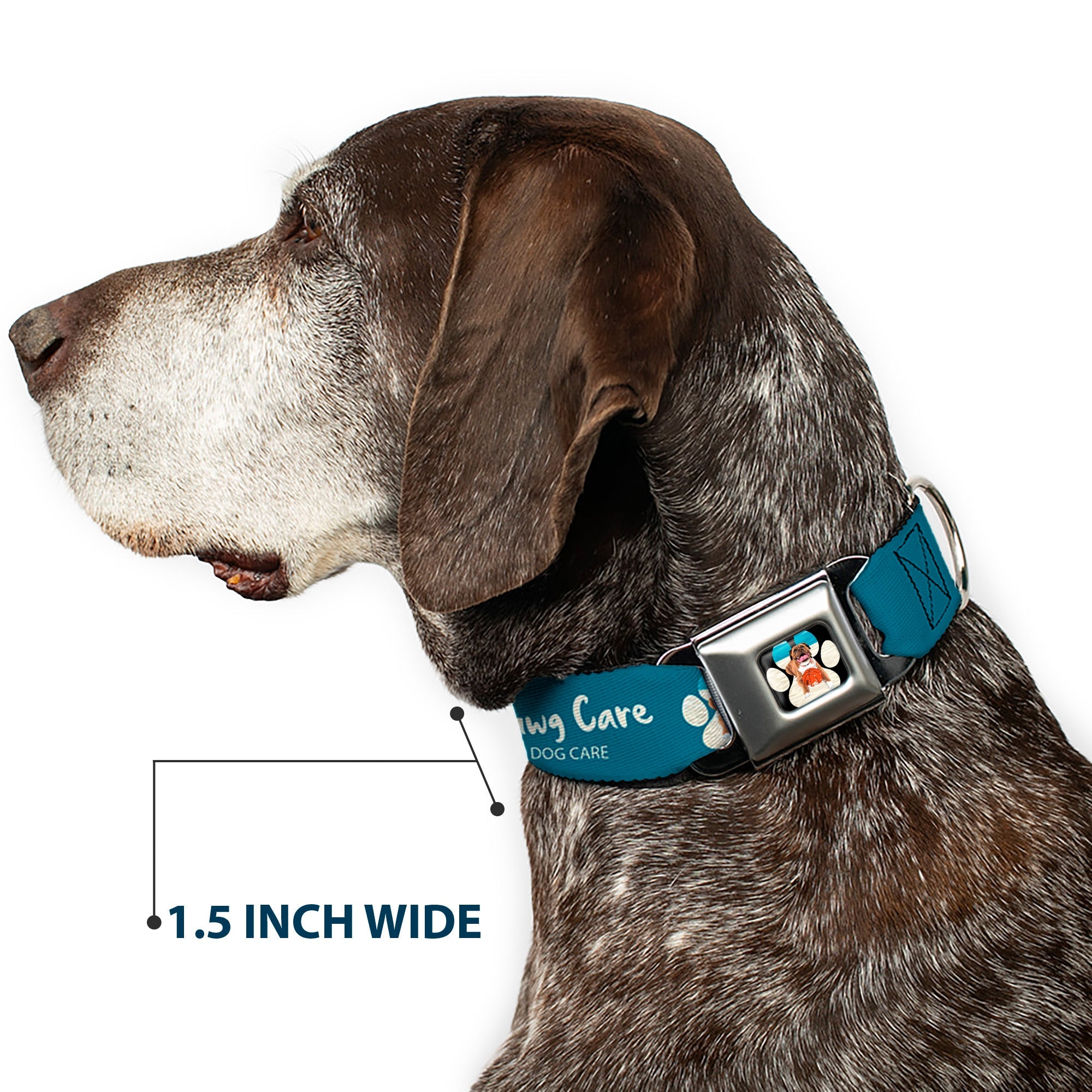 Buckle-Down Beach Dawg Care Paw Logo Full Color Black Seatbelt Buckle Dog Collar - Beach Dawg Care All Dogs Are Equal Turquoise/White