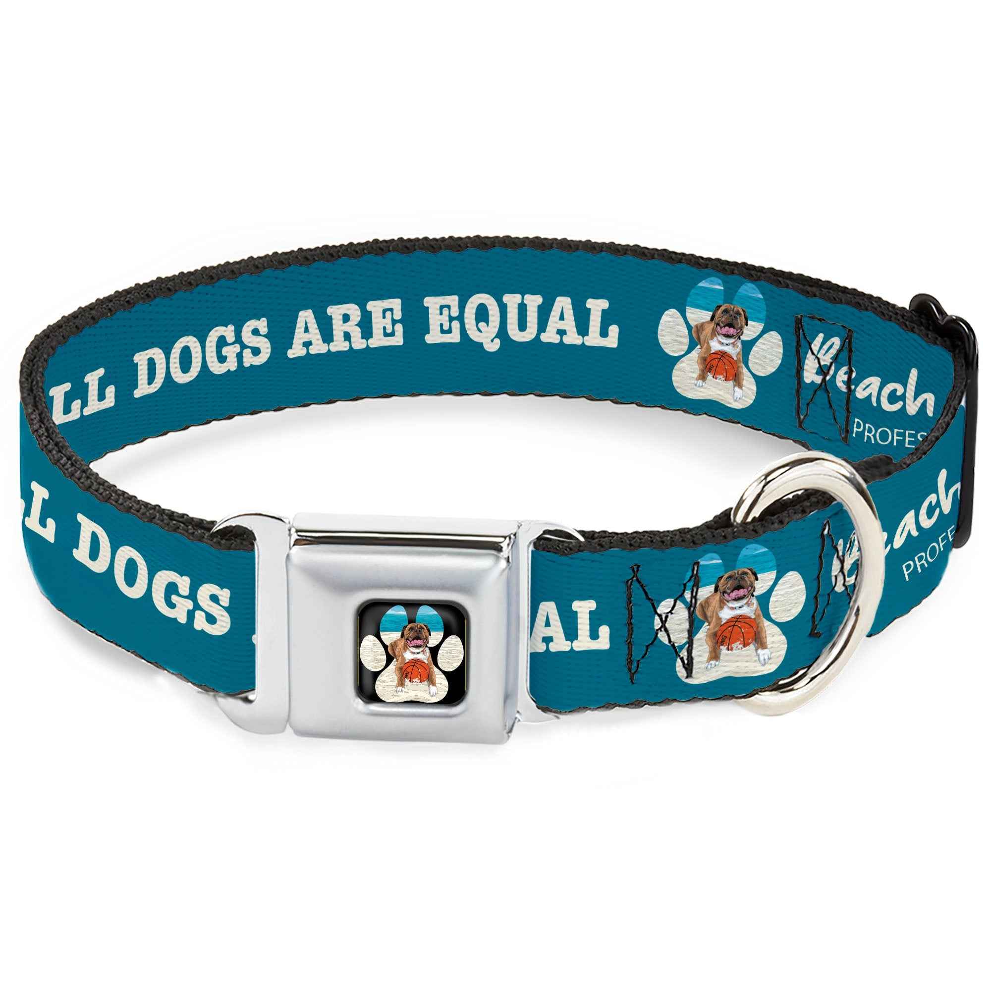 Buckle-Down Beach Dawg Care Paw Logo Full Color Black Seatbelt Buckle Dog Collar - Beach Dawg Care All Dogs Are Equal Turquoise/White