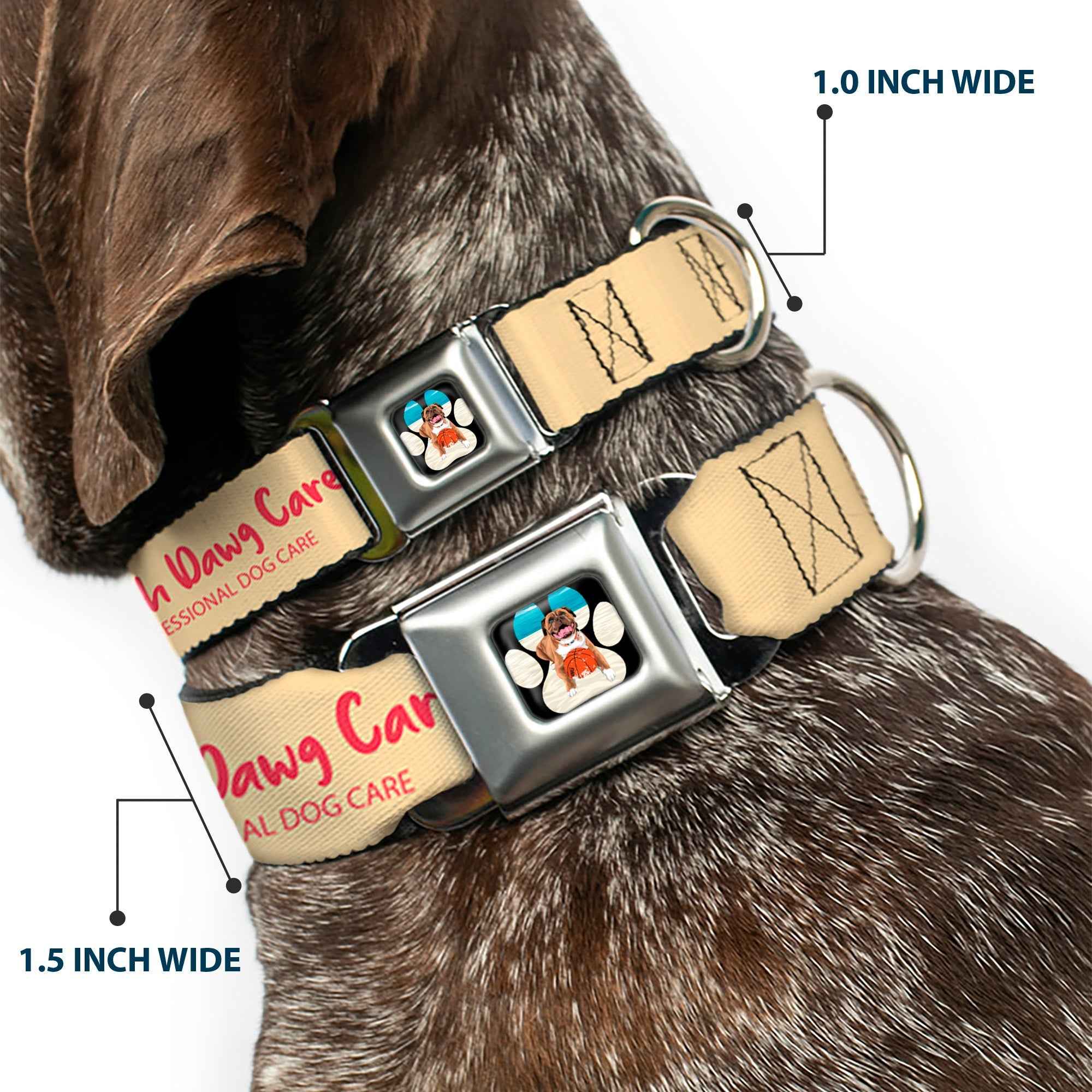 Buckle-Down Beach Dawg Care Paw Logo Full Color Black Seatbelt Buckle Dog Collar - Beach Dawg Care All Dogs Are Equal Cream/Pink