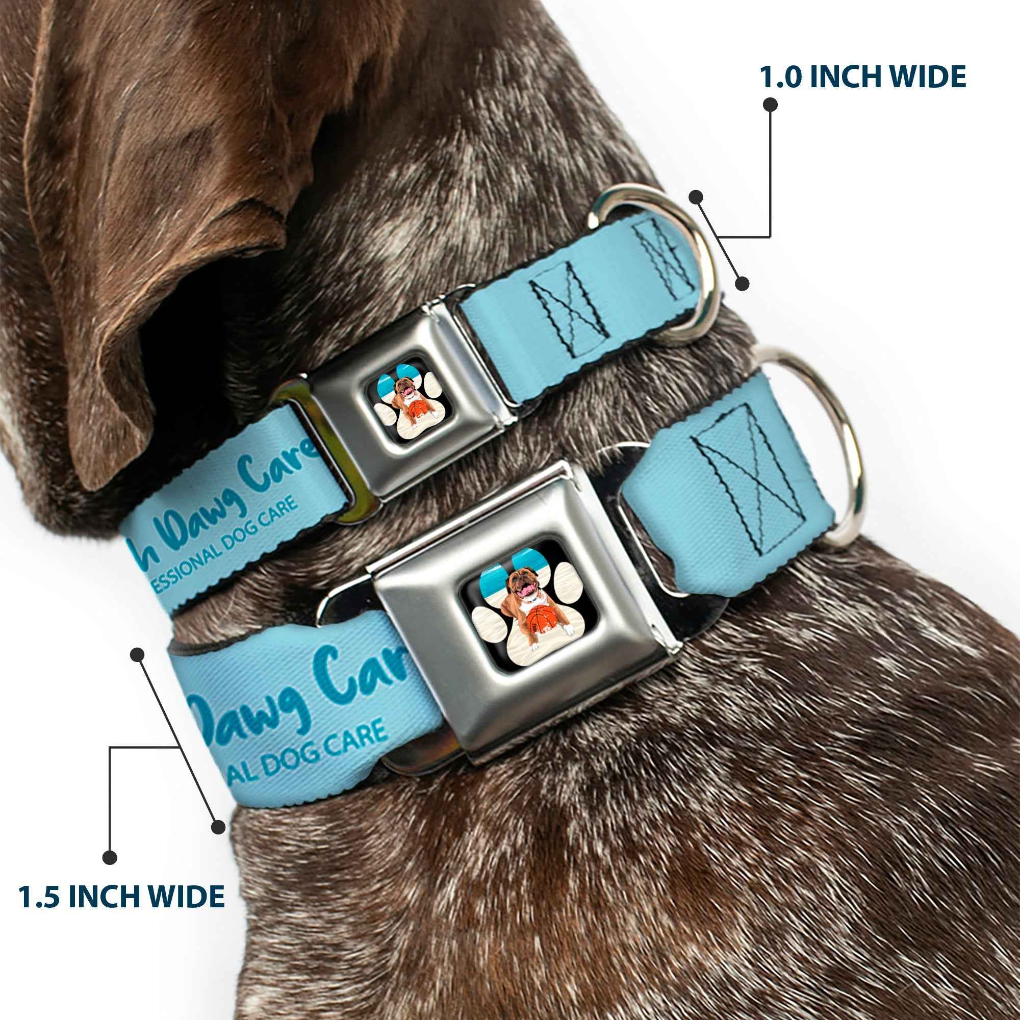 Buckle-Down Beach Dawg Care Paw Logo Full Color Black Seatbelt Buckle Dog Collar - Beach Dawg Care All Dogs Are Equal Blues
