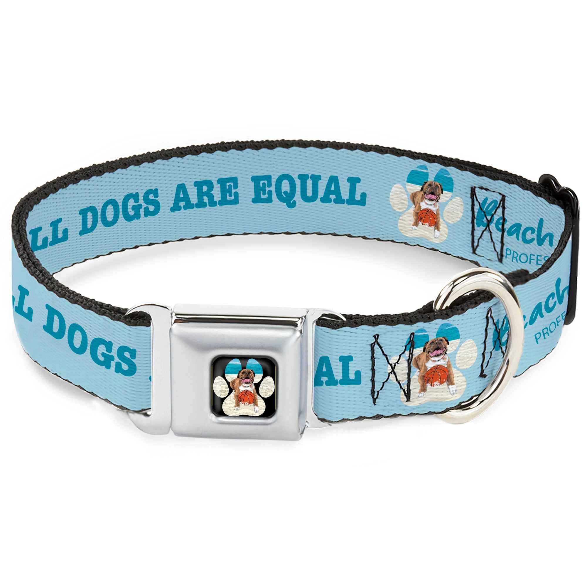 Buckle-Down Beach Dawg Care Paw Logo Full Color Black Seatbelt Buckle Dog Collar - Beach Dawg Care All Dogs Are Equal Blues