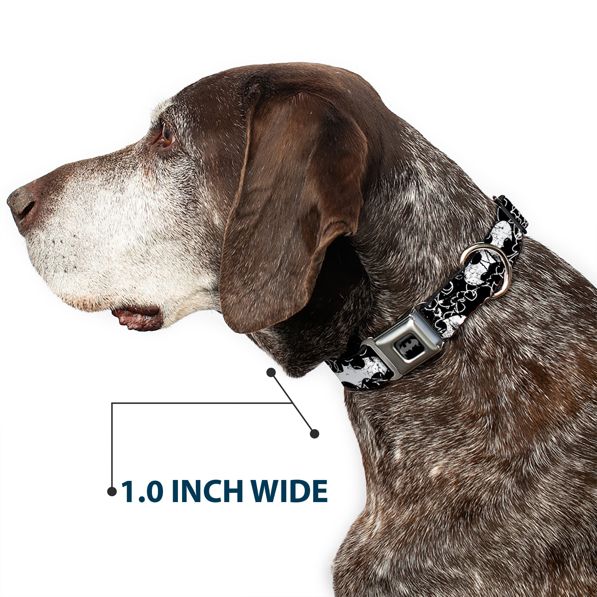 Batman Black Silver Seatbelt Buckle Collar - Batman Outlines Black/White