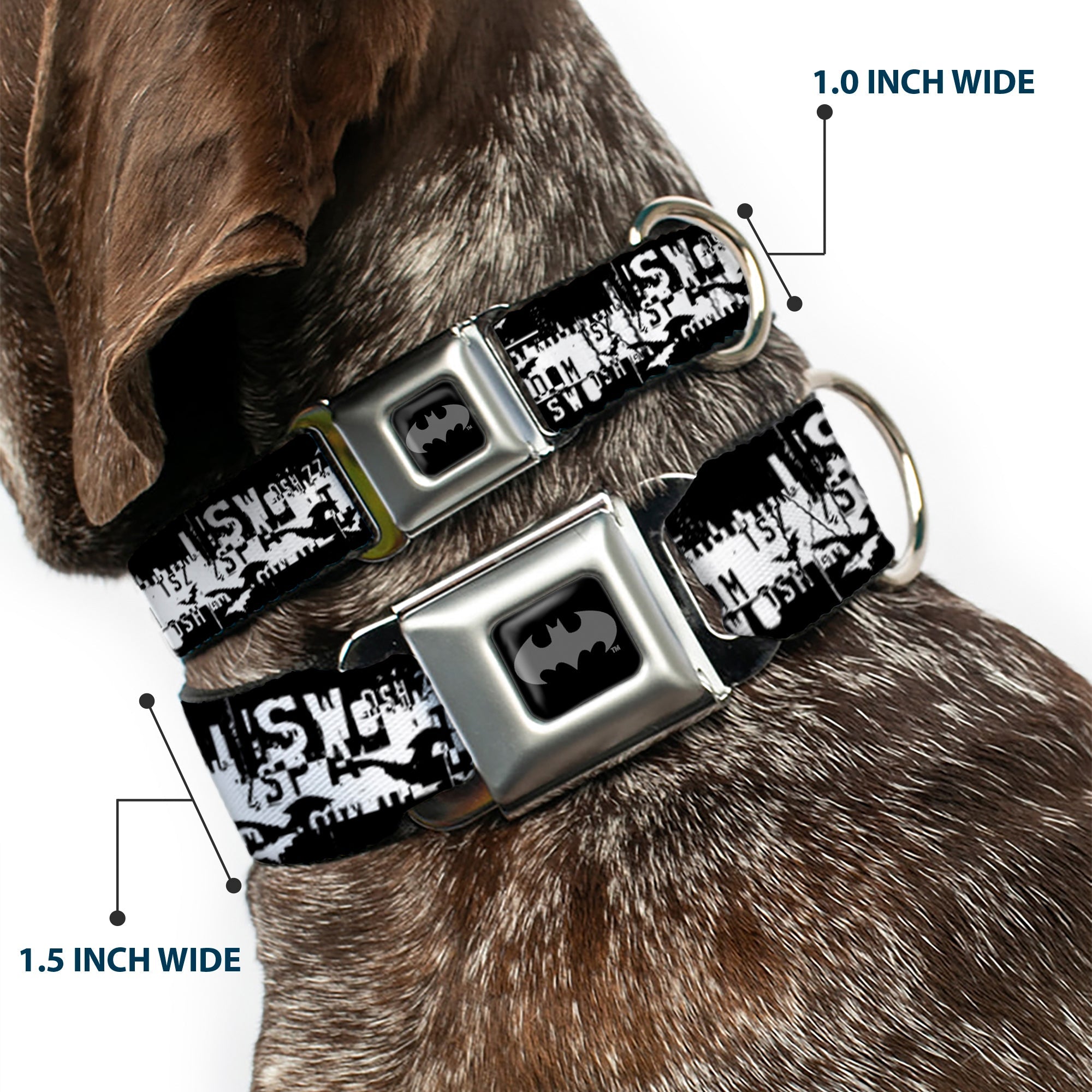 Batman Black Silver Seatbelt Buckle Collar - Batman Action Verbiage Black/White