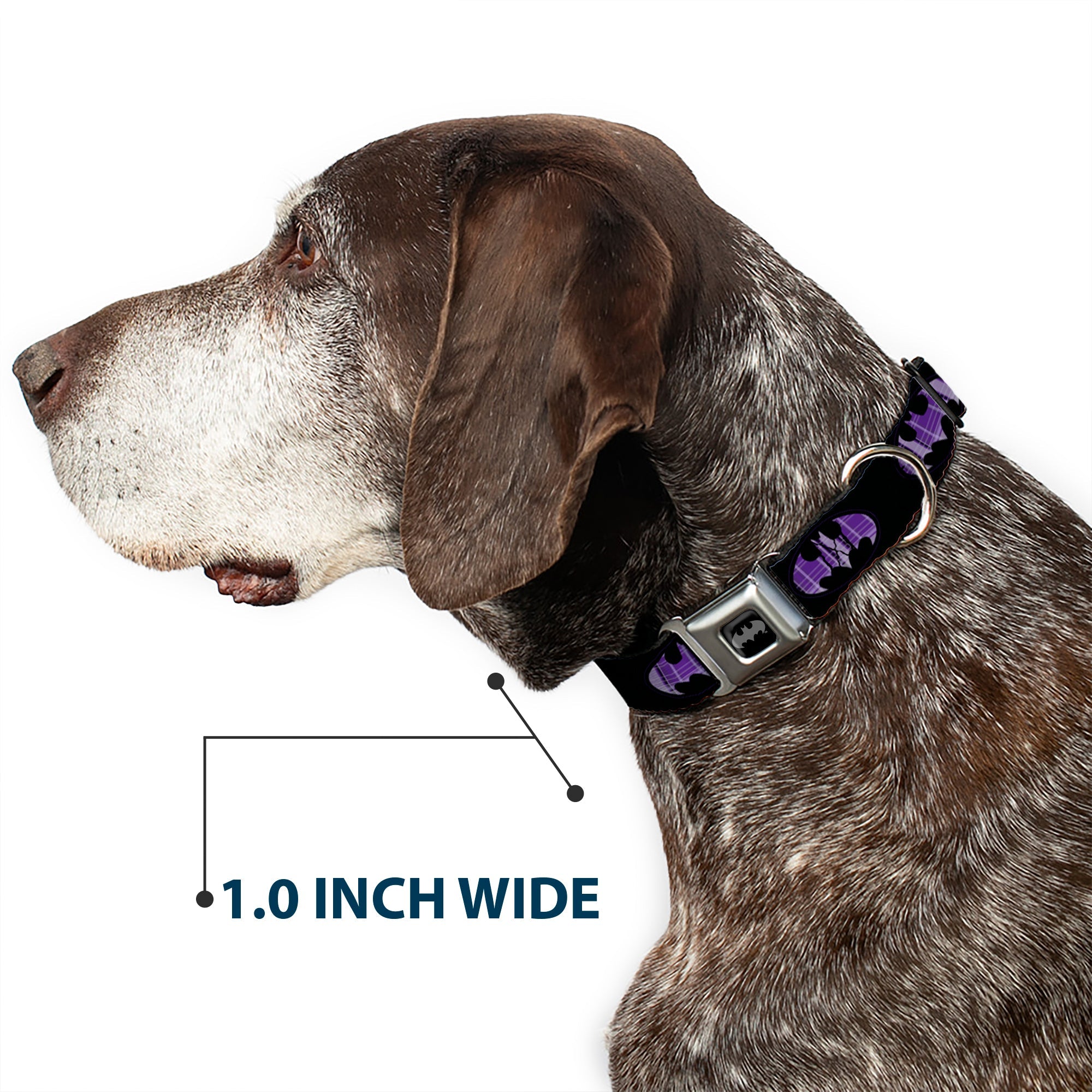 Batman Black Silver Seatbelt Buckle Collar - Batman Signal Black/Purple Plaid