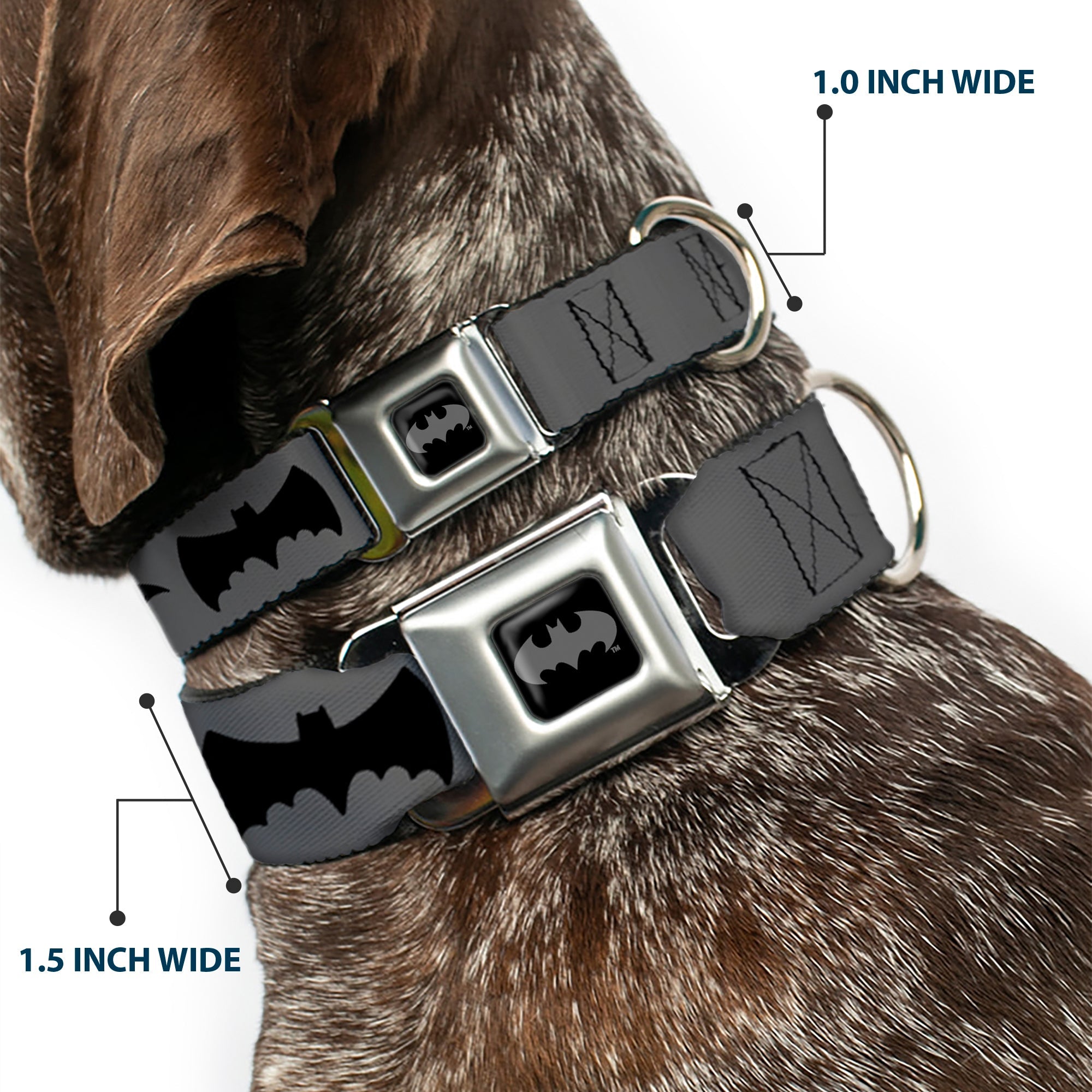 Batman Black/Silver Seatbelt Buckle Collar - Bat Logo Transitions Gray/Black