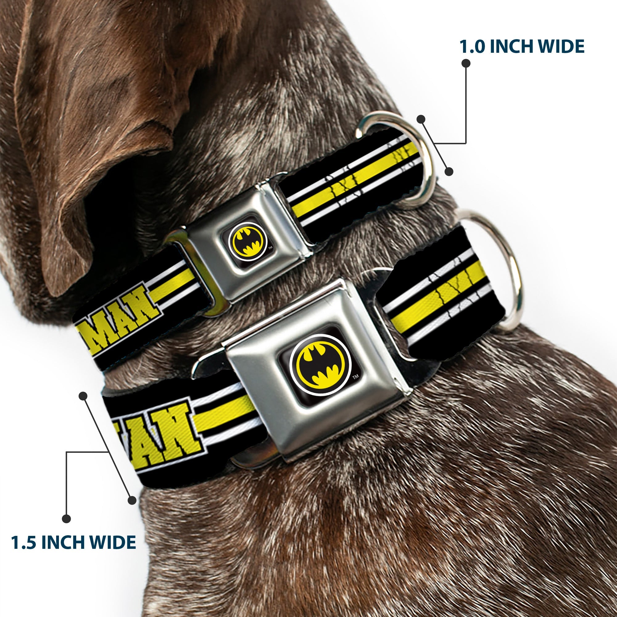 Bat Signal Black/White/Yellow Seatbelt Buckle Collar - BATMAN/Bat Signal Triple Stripe Black/White/Yellow