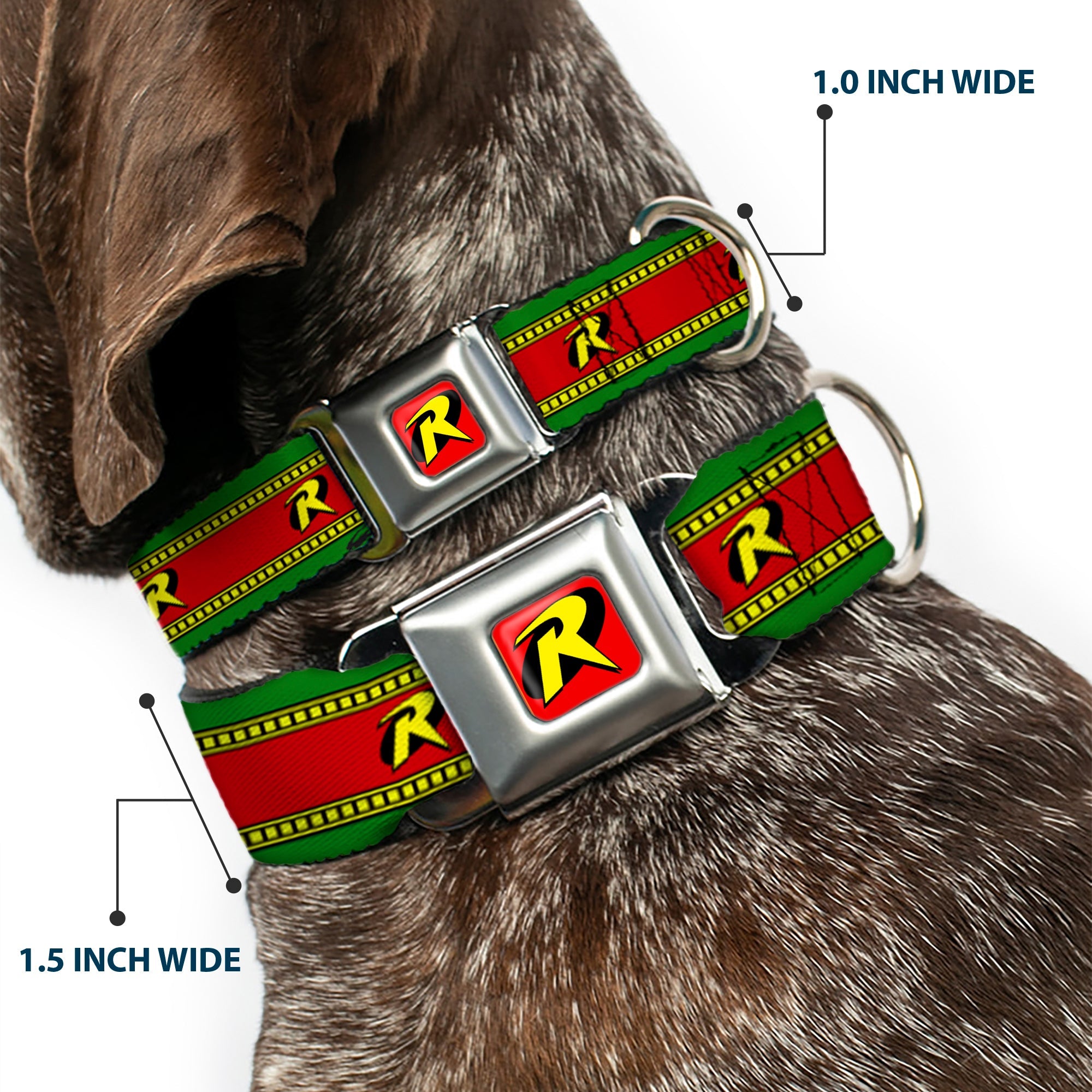 Robin "R" Logo Full Color Red/Black/Yellow Seatbelt Buckle Collar - Robin Action Pose/"R" Logo Stripe Green/Yellow/Red/Black