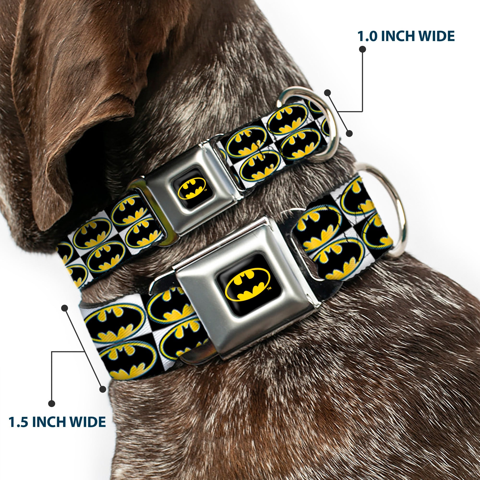 Batman Full Color Black Yellow Seatbelt Buckle Collar - Batman Shield Checkers