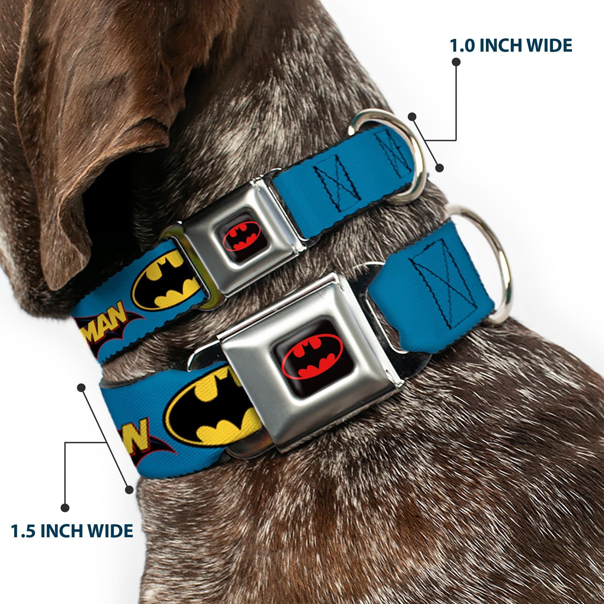 Batman Full Color Black Yellow Seatbelt Buckle Collar - Vintage Batman Logo & Bat Signal Blue
