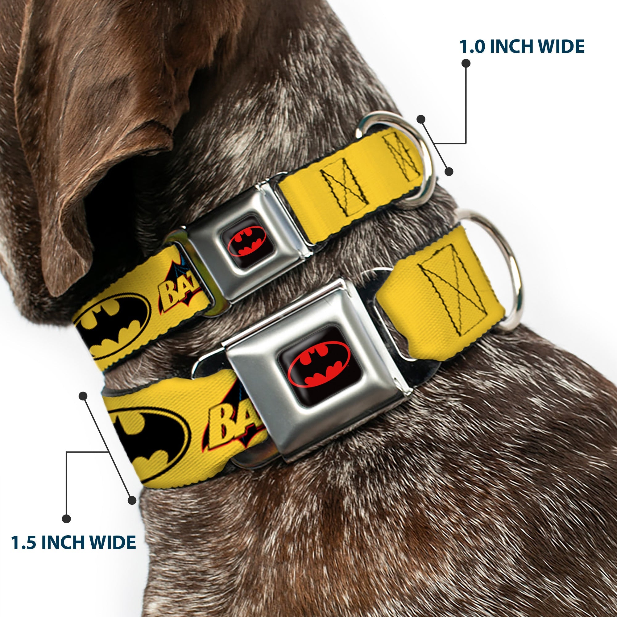 Batman Full Color Black Yellow Seatbelt Buckle Collar - Vintage Batman Logo & Bat Signal-3 Yellow