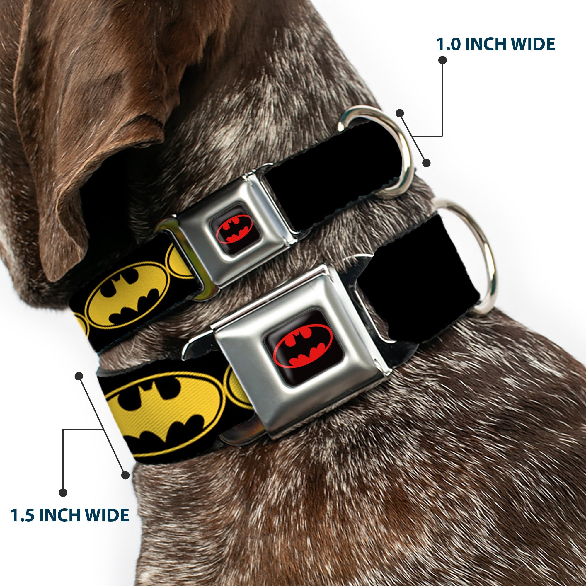 Batman Full Color Black Yellow Seatbelt Buckle Collar - Bat Signal-3 Black/Yellow/Black