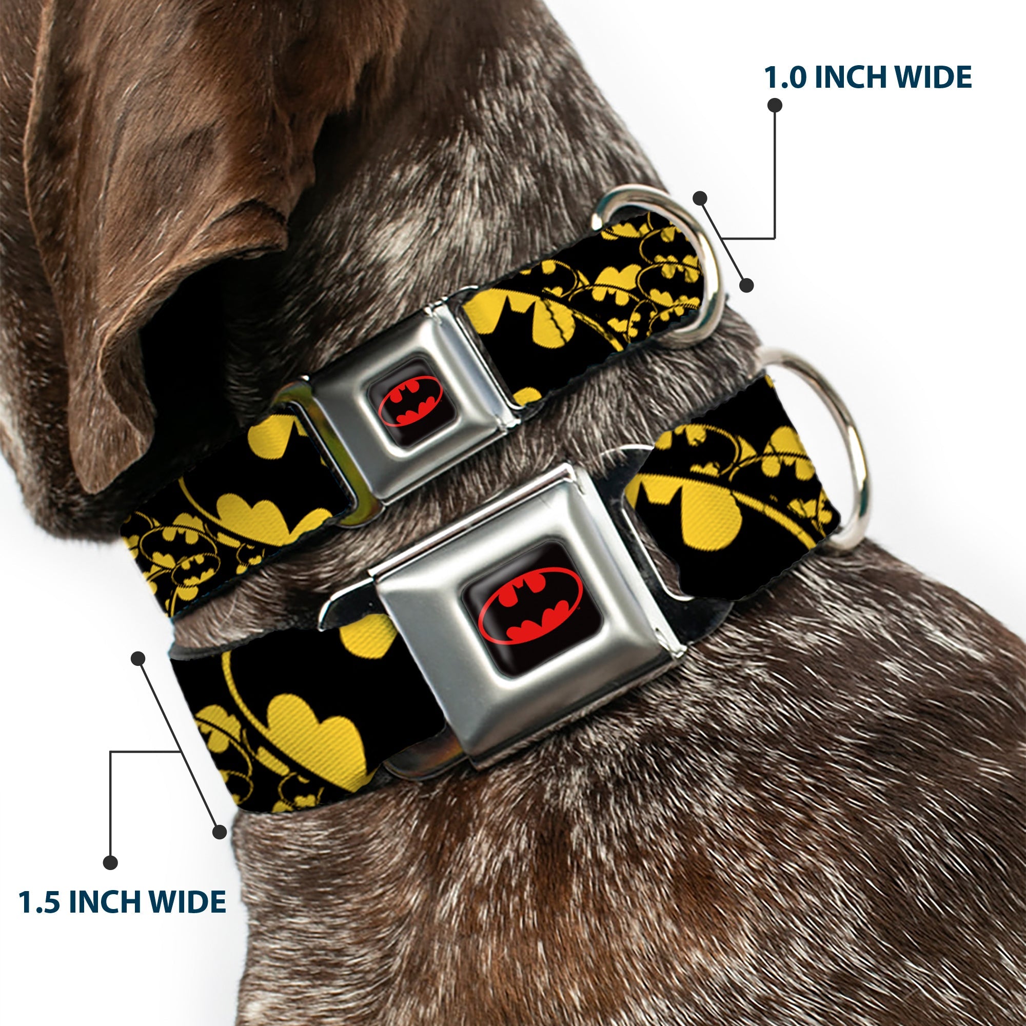 Batman Full Color Black Yellow Seatbelt Buckle Collar - Bat Signals Stacked w/CLOSE-UP Yellow/Black