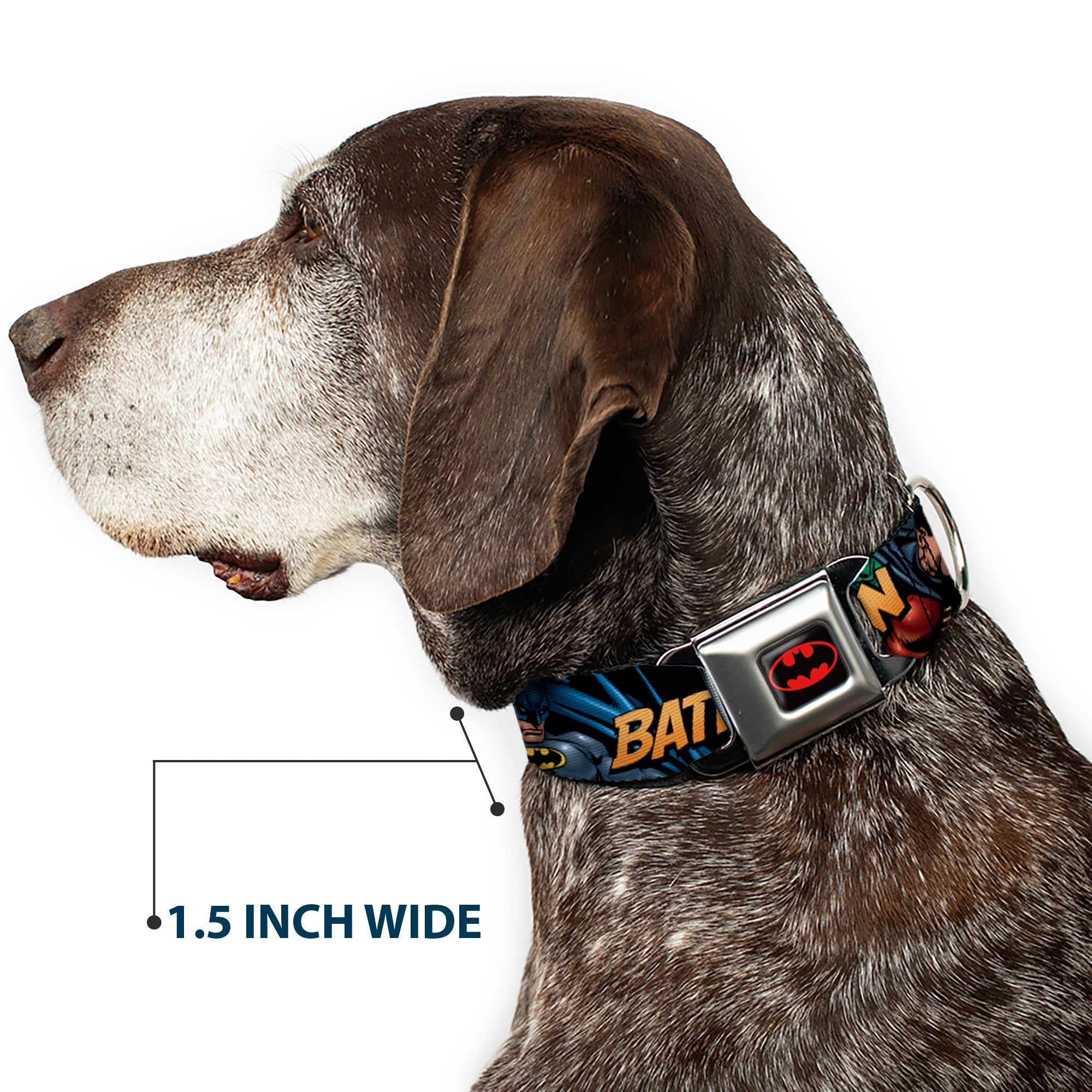 Batman Full Color Black Yellow Seatbelt Buckle Collar - Batman & Robin in Action w/Text Black