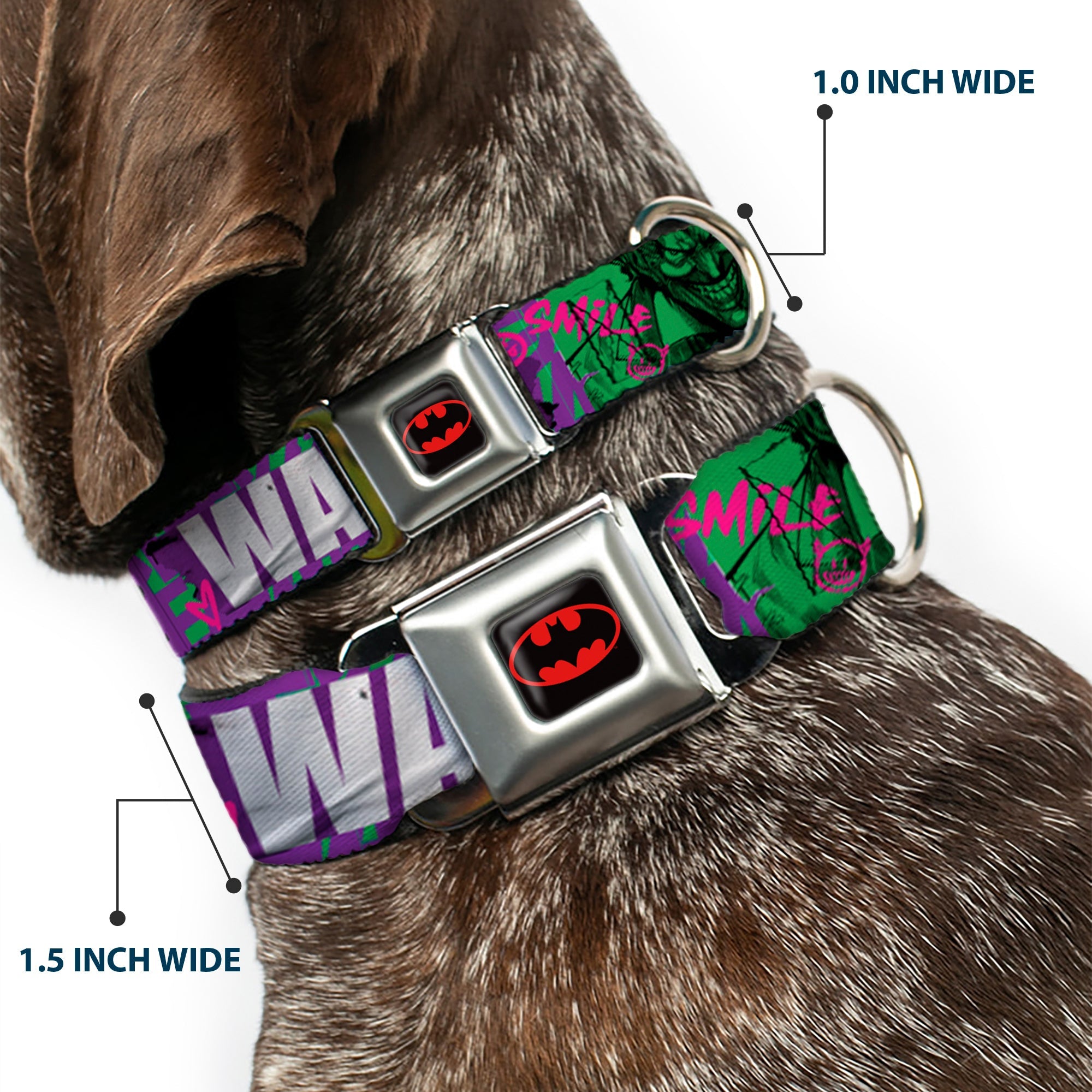 Batman Black/Yellow Seatbelt Buckle Collar - THE JOKER WANTED Smiling Pose and Graffiti Purples/Greens