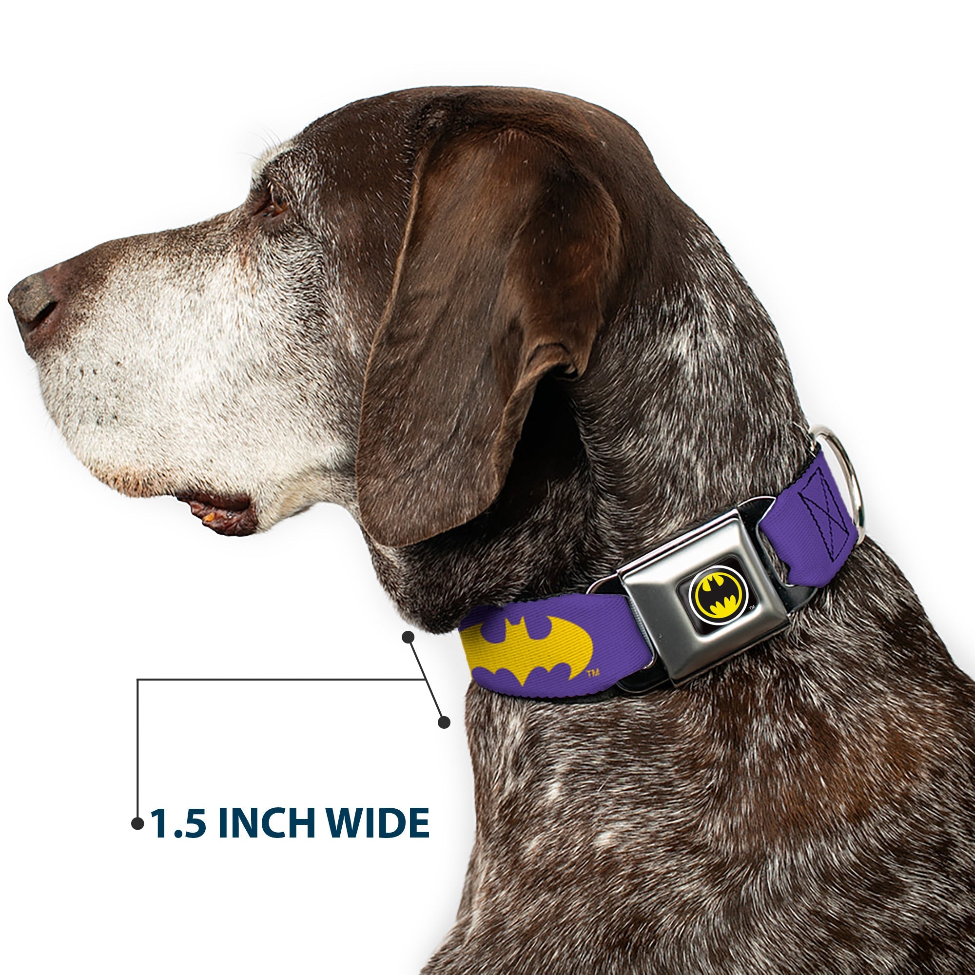 Batman Signal Full Color Purple Yellow Seatbelt Buckle Collar - Batman Signal Purple/Yellow