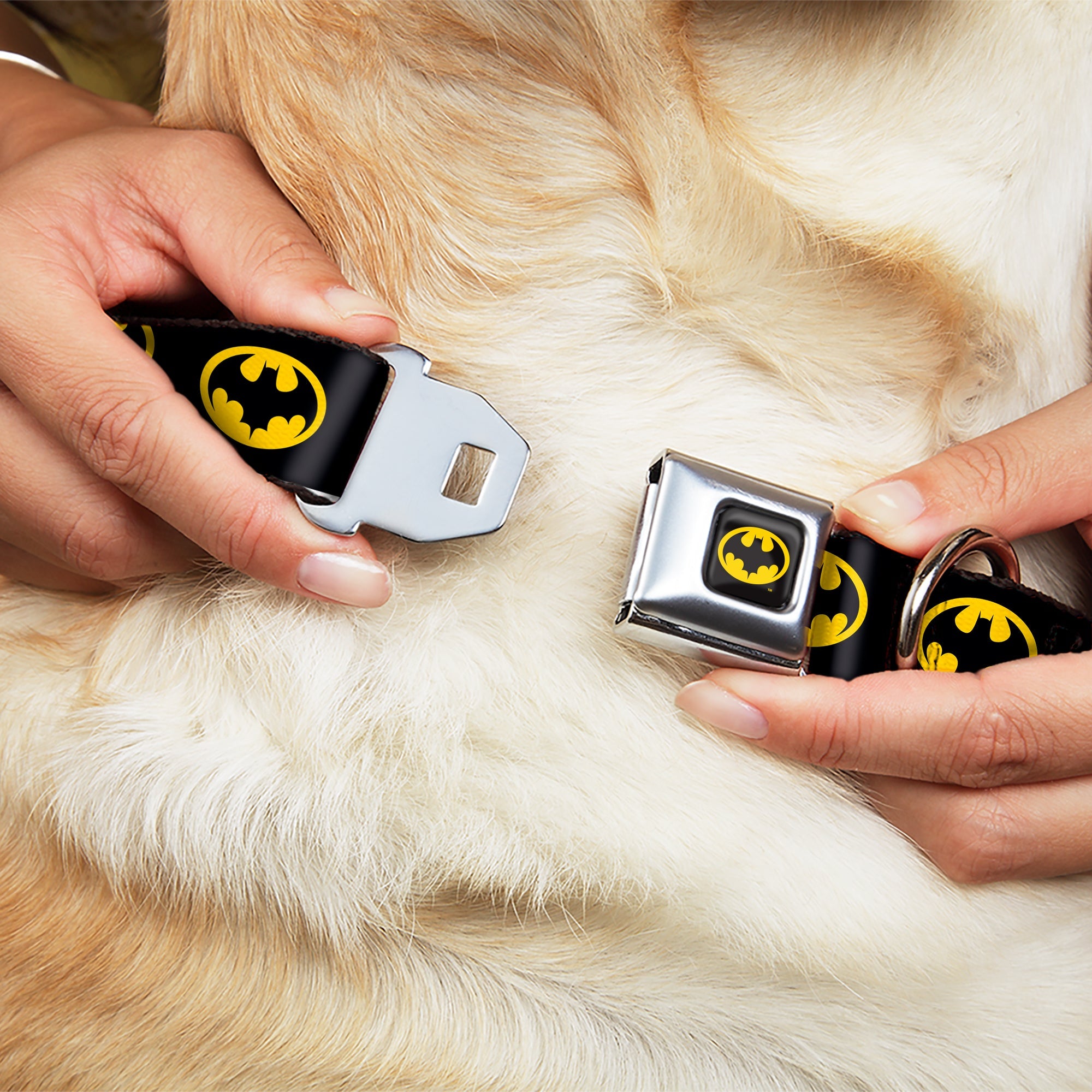 Batman 1989 Logo Full Color Black/Yellow Seatbelt Buckle Collar - Batman 1989 Logo Black/Yellow