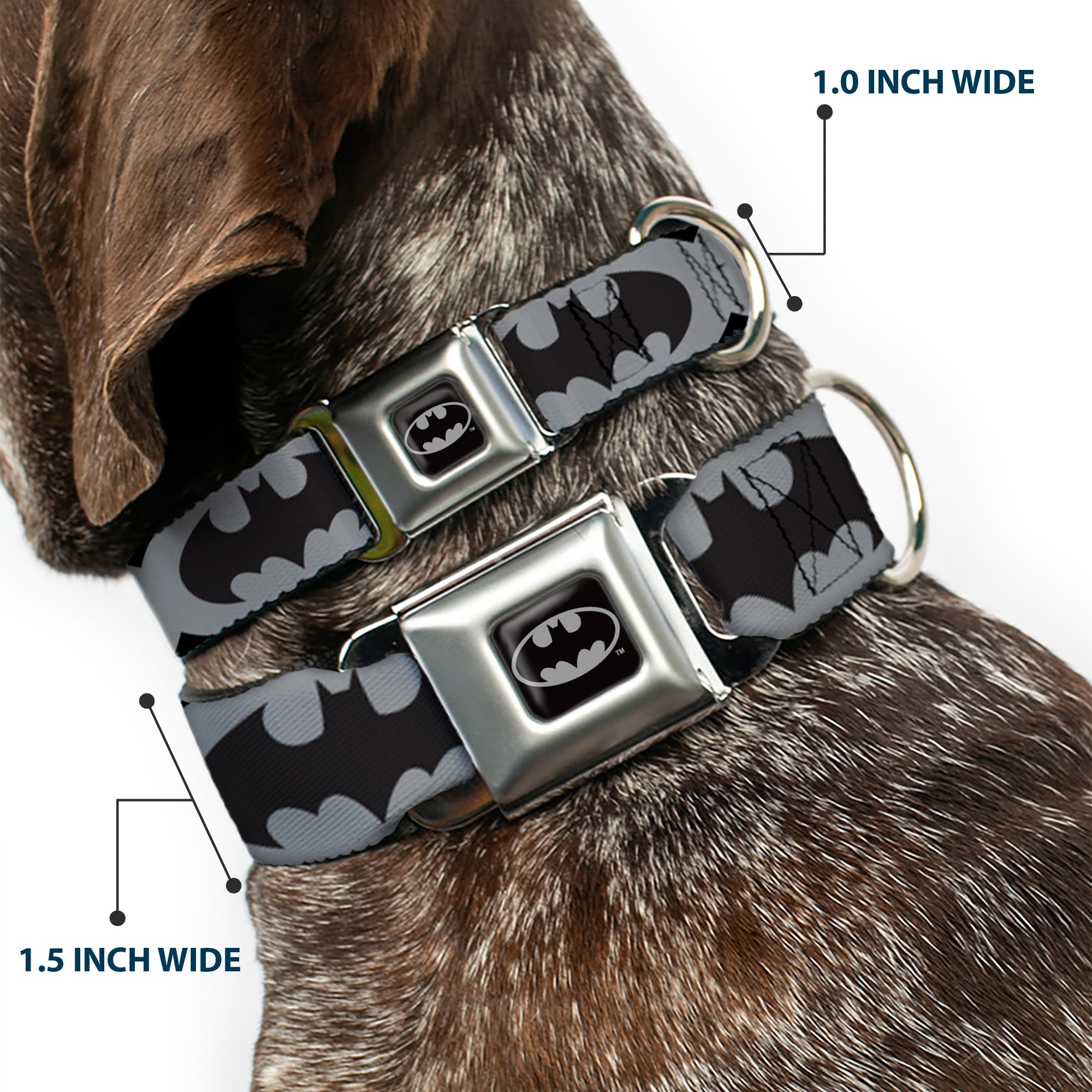 Batman Full Color Black Silver Black Seatbelt Buckle Collar - Bat Signal-5 Black/Gray/Black
