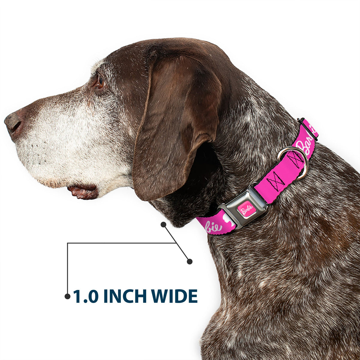 BARBIE Script Signature Full Color Hot Pink/White Seatbelt Buckle Collar - BARBIE Script Signature Logo and Silhouette Hot