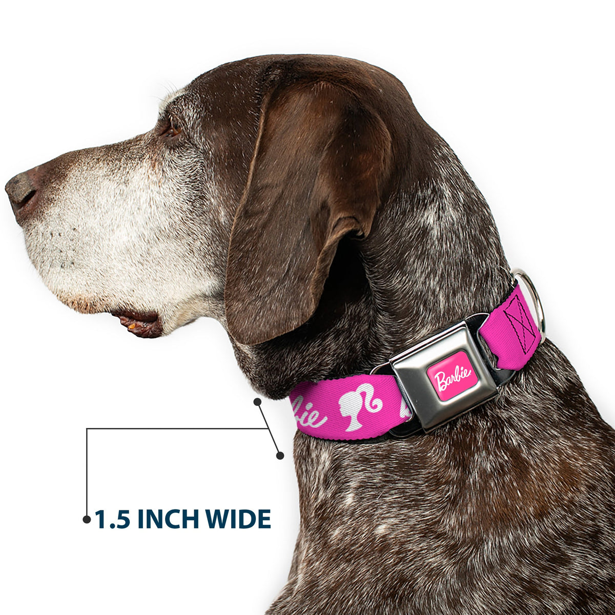 BARBIE Script Signature Full Color Hot Pink/White Seatbelt Buckle Collar - BARBIE Script Signature Logo and Silhouette Hot