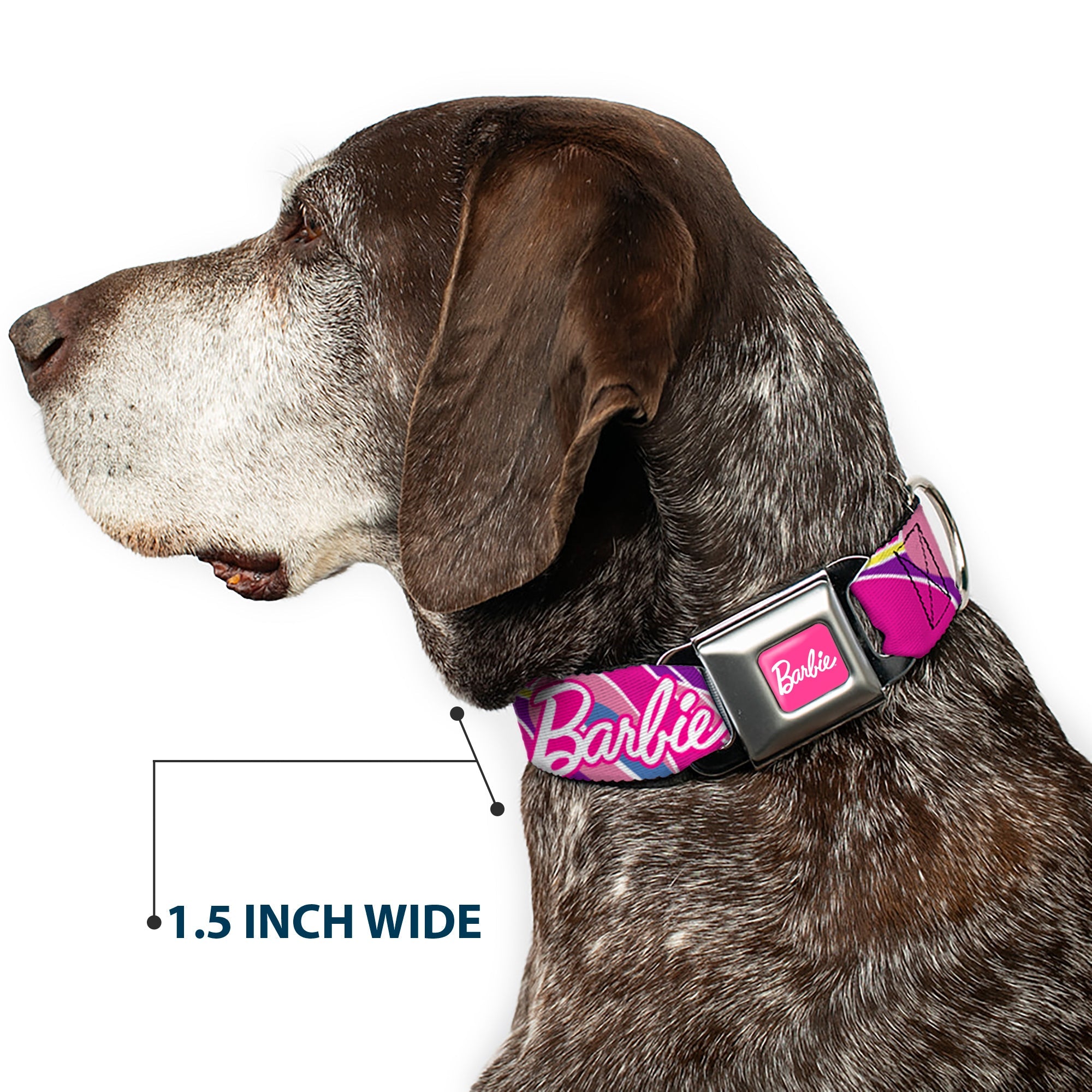 BARBIE Script Signature Full Color Hot Pink/White Seatbelt Buckle Collar - BARBIE Script Signature Logo Abstract Multi Color/White