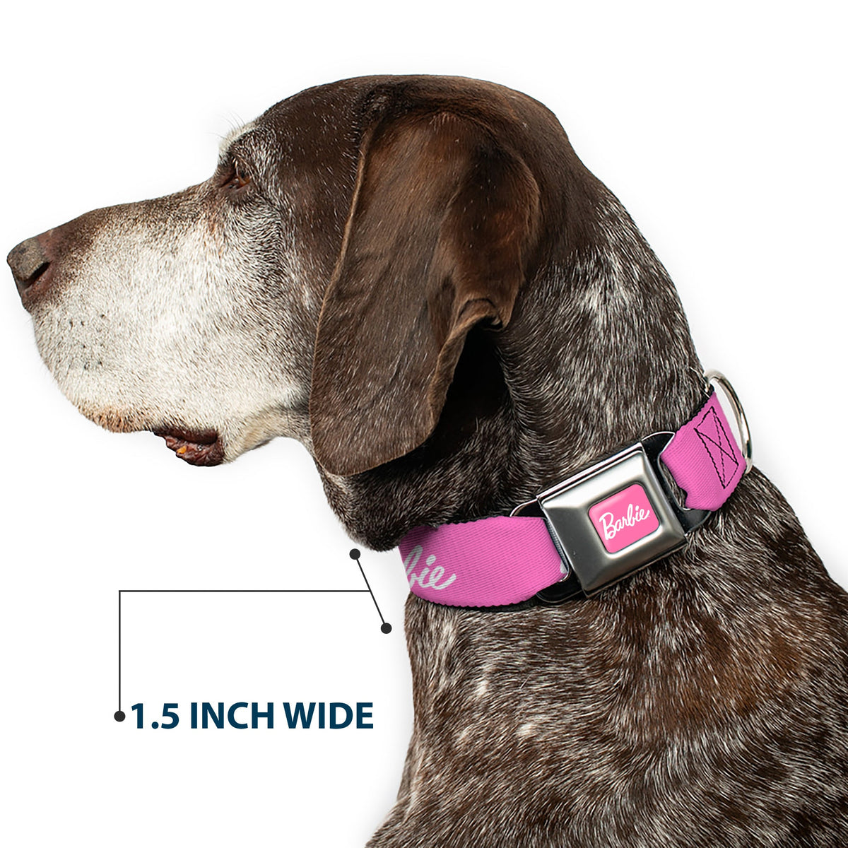 BARBIE Script Signature Full Color Pink/White Seatbelt Buckle Collar - BARBIE Script Signature Logo Pink/White