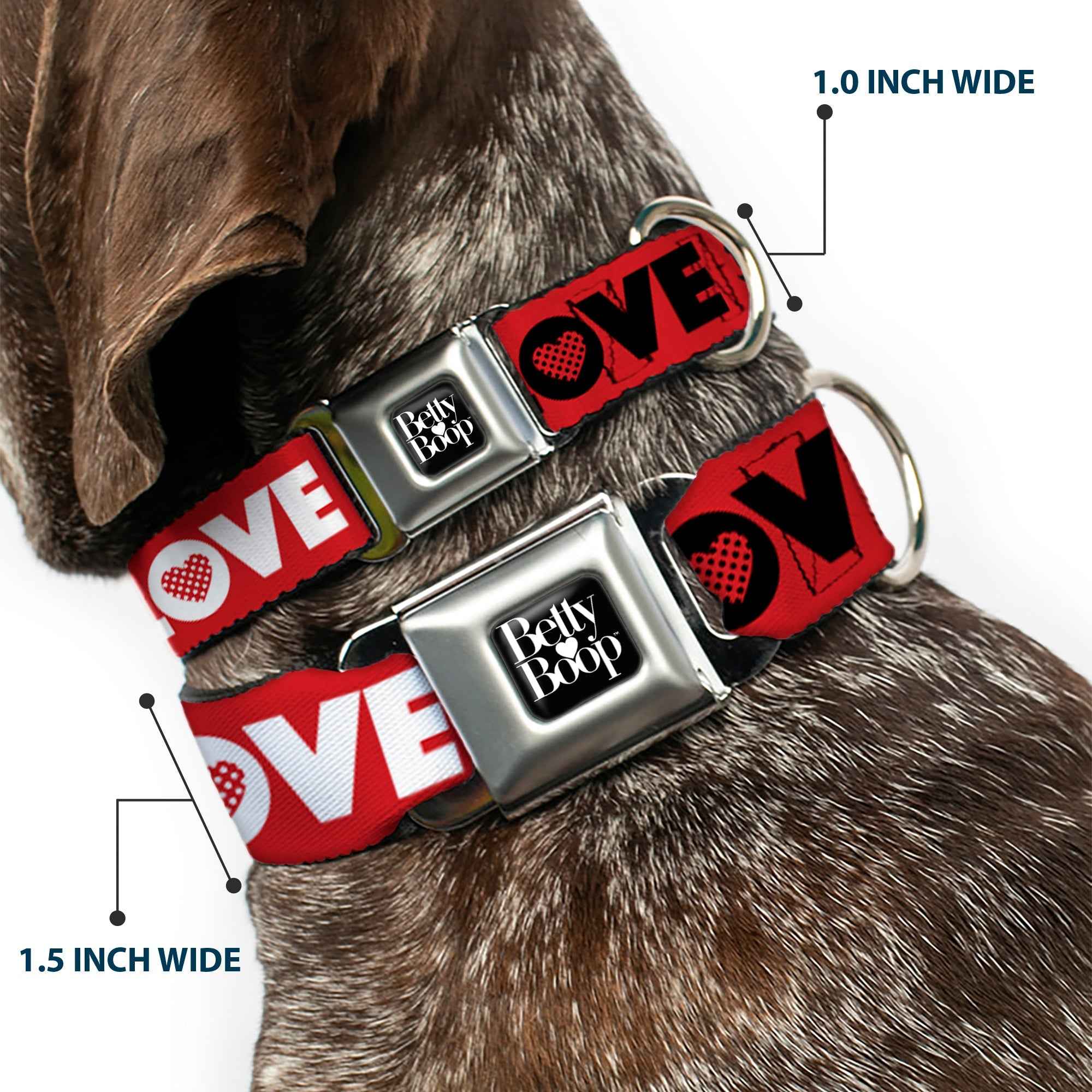 Buckle-Down Betty Boop Text Heart Logo Full Color Black/White Seatbelt Buckle Dog Collar - Betty Boop Face and Love Text Red/Black/White