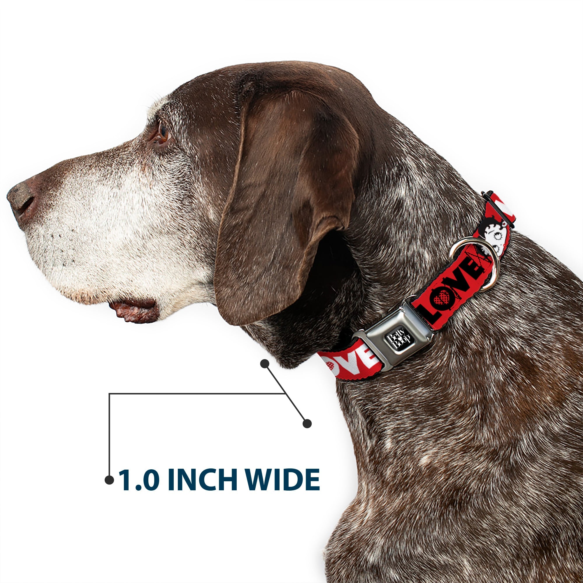 Buckle-Down Betty Boop Text Heart Logo Full Color Black/White Seatbelt Buckle Dog Collar - Betty Boop Face and Love Text Red/Black/White