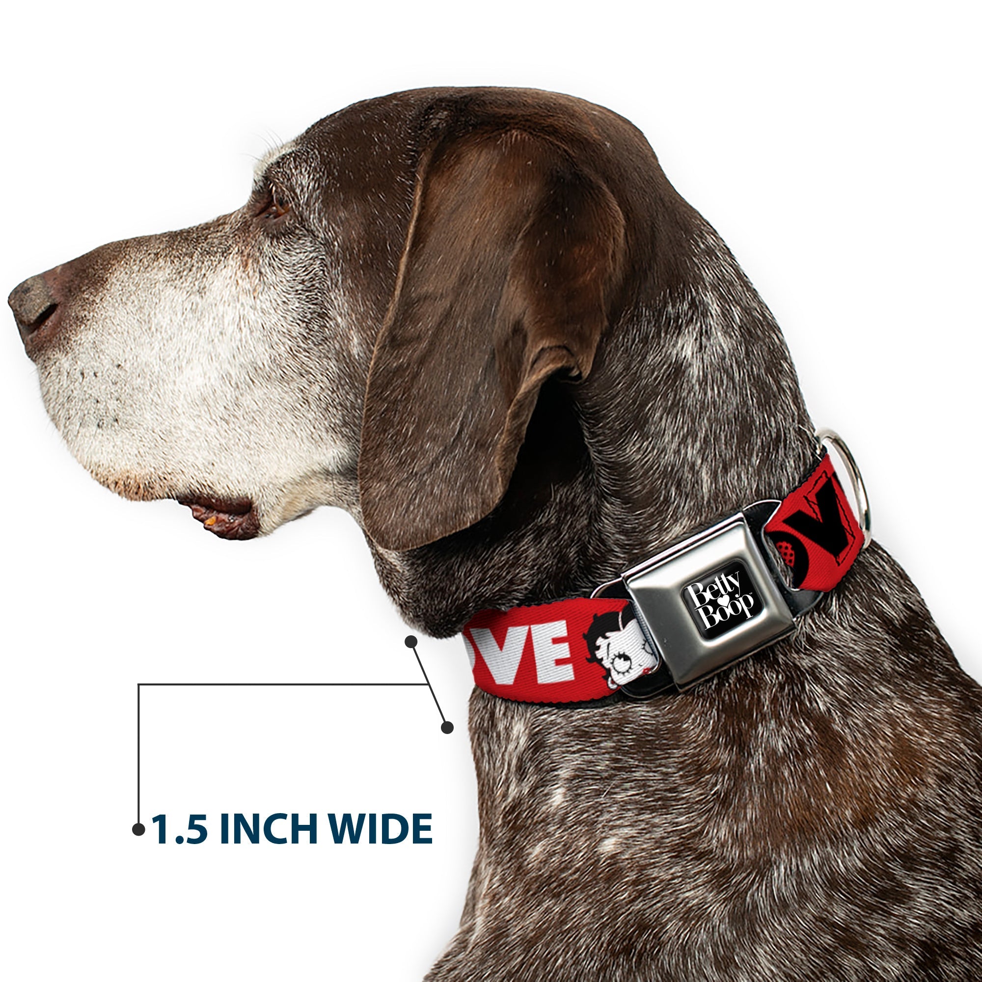 Buckle-Down Betty Boop Text Heart Logo Full Color Black/White Seatbelt Buckle Dog Collar - Betty Boop Face and Love Text Red/Black/White