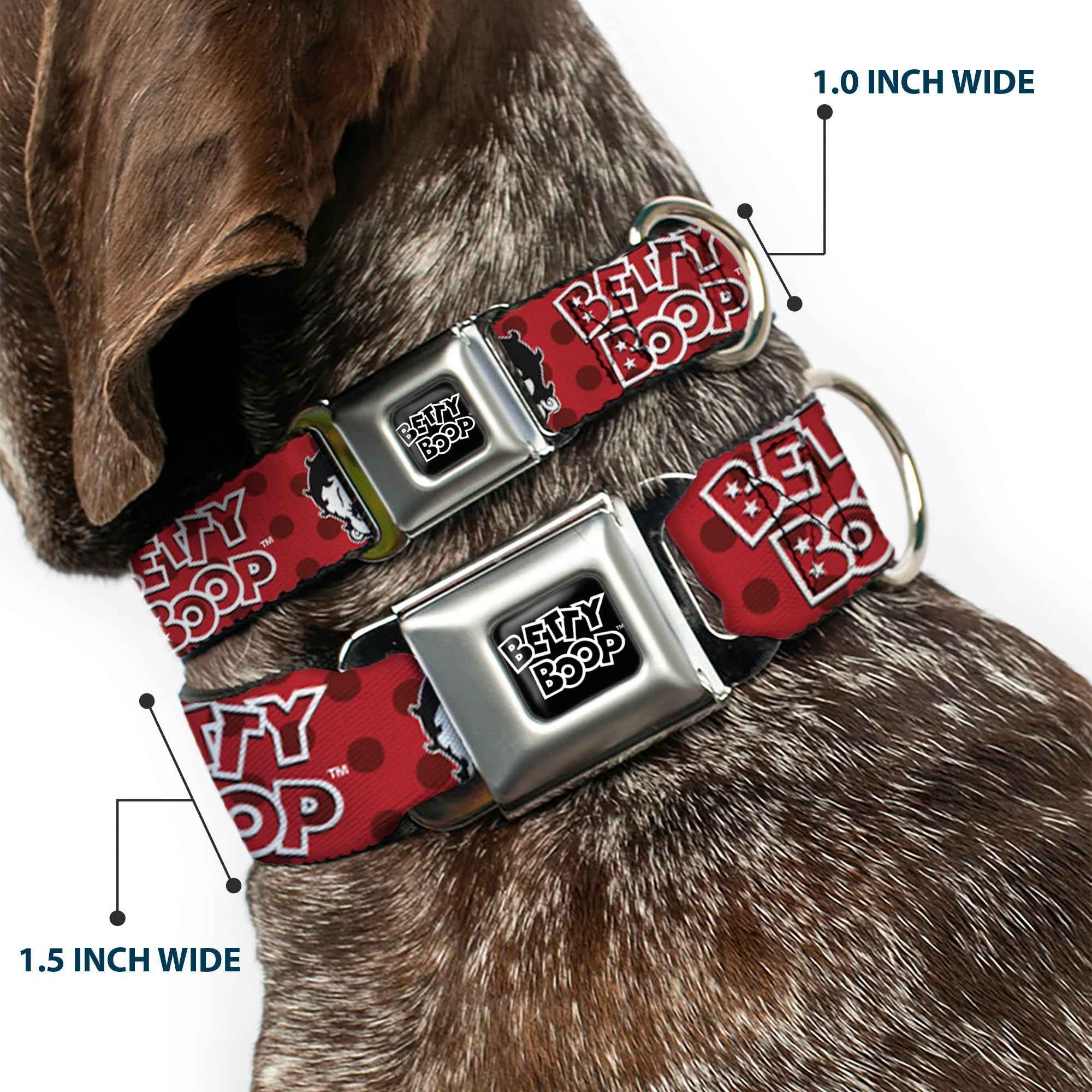 Buckle-Down Betty Boop Text Heart Logo Full Color Black/White Seatbelt Buckle Dog Collar - Betty Boop Face and Text Polka Dot Reds/Black/White