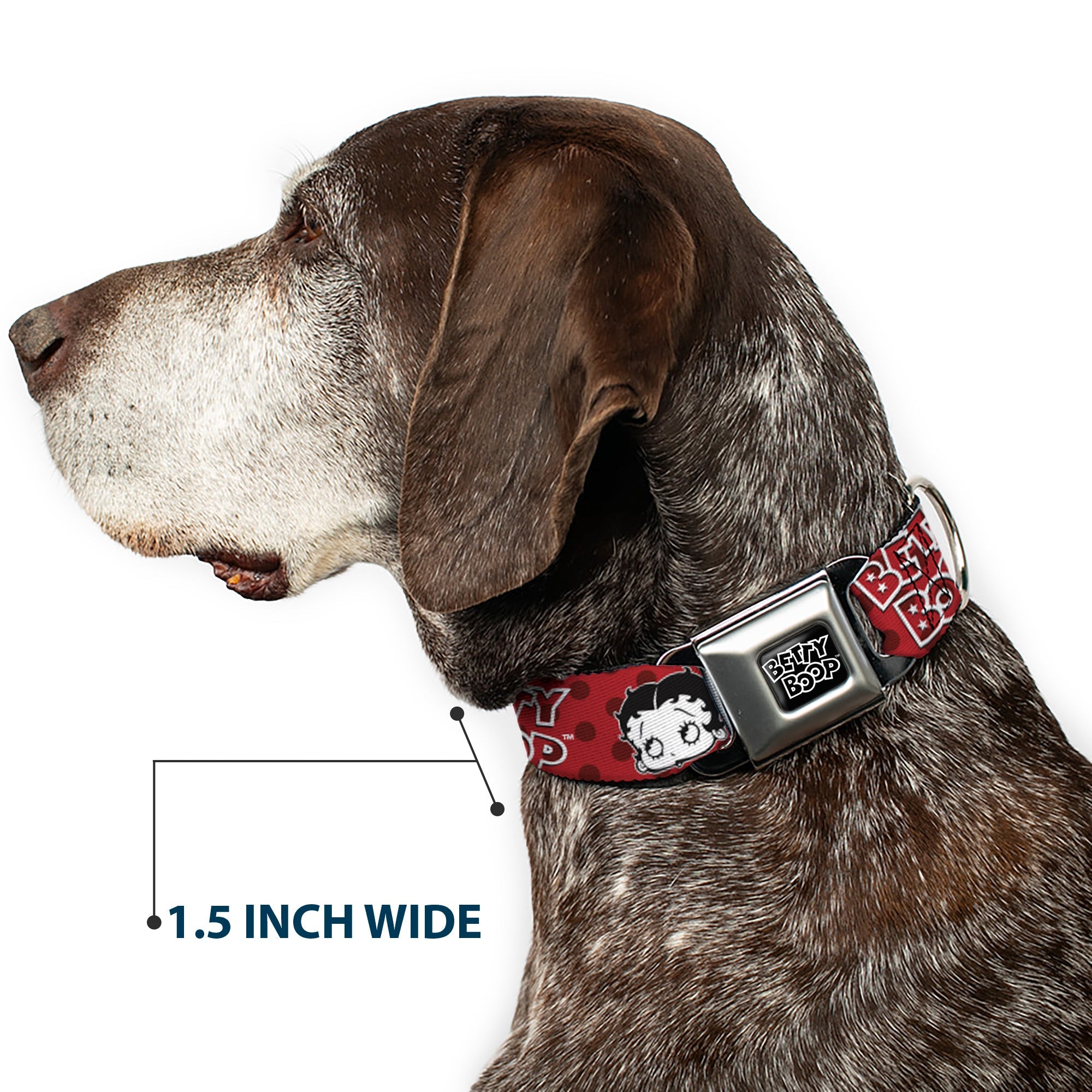 Buckle-Down Betty Boop Text Heart Logo Full Color Black/White Seatbelt Buckle Dog Collar - Betty Boop Face and Text Polka Dot Reds/Black/White
