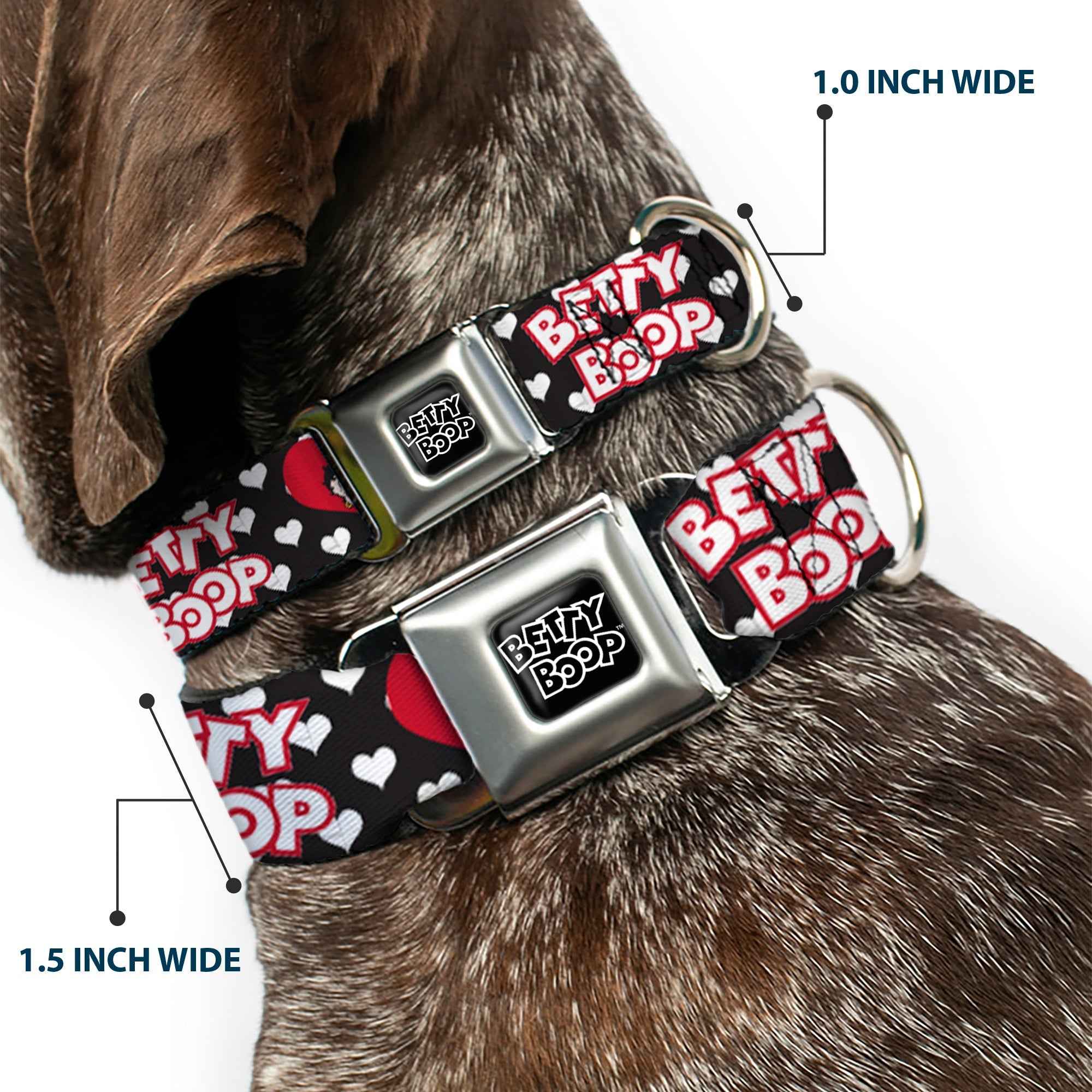 Buckle-Down Betty Boop Text Heart Logo Full Color Black/White Seatbelt Buckle Dog Collar - Betty Boop Face and Text Hearts Black/White/Red