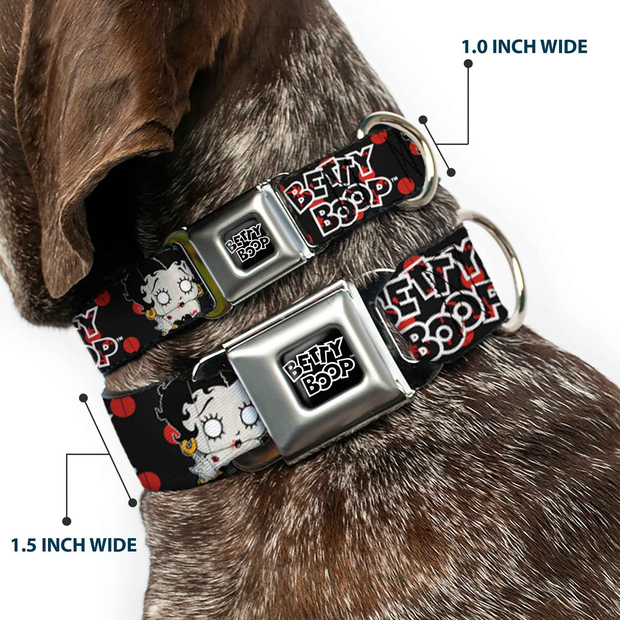 Buckle-Down Betty Boop Text Heart Logo Full Color Black/White Seatbelt Buckle Dog Collar - Betty Boop Zombie Betty and Text Polka Dot Black/Red/White