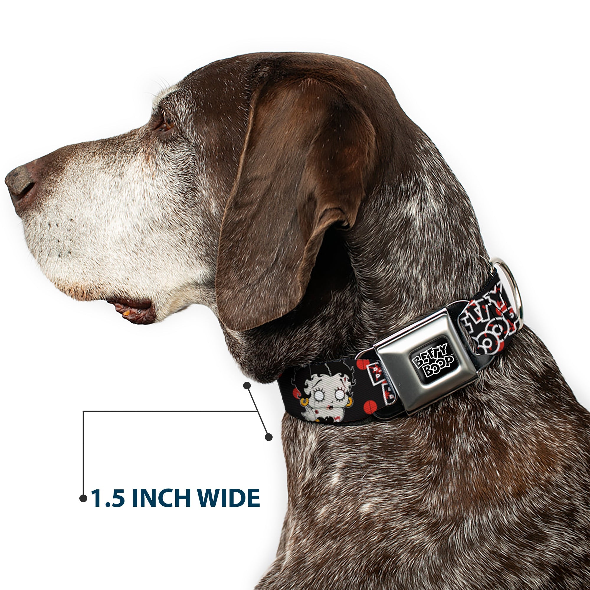 Buckle-Down Betty Boop Text Heart Logo Full Color Black/White Seatbelt Buckle Dog Collar - Betty Boop Zombie Betty and Text Polka Dot Black/Red/White