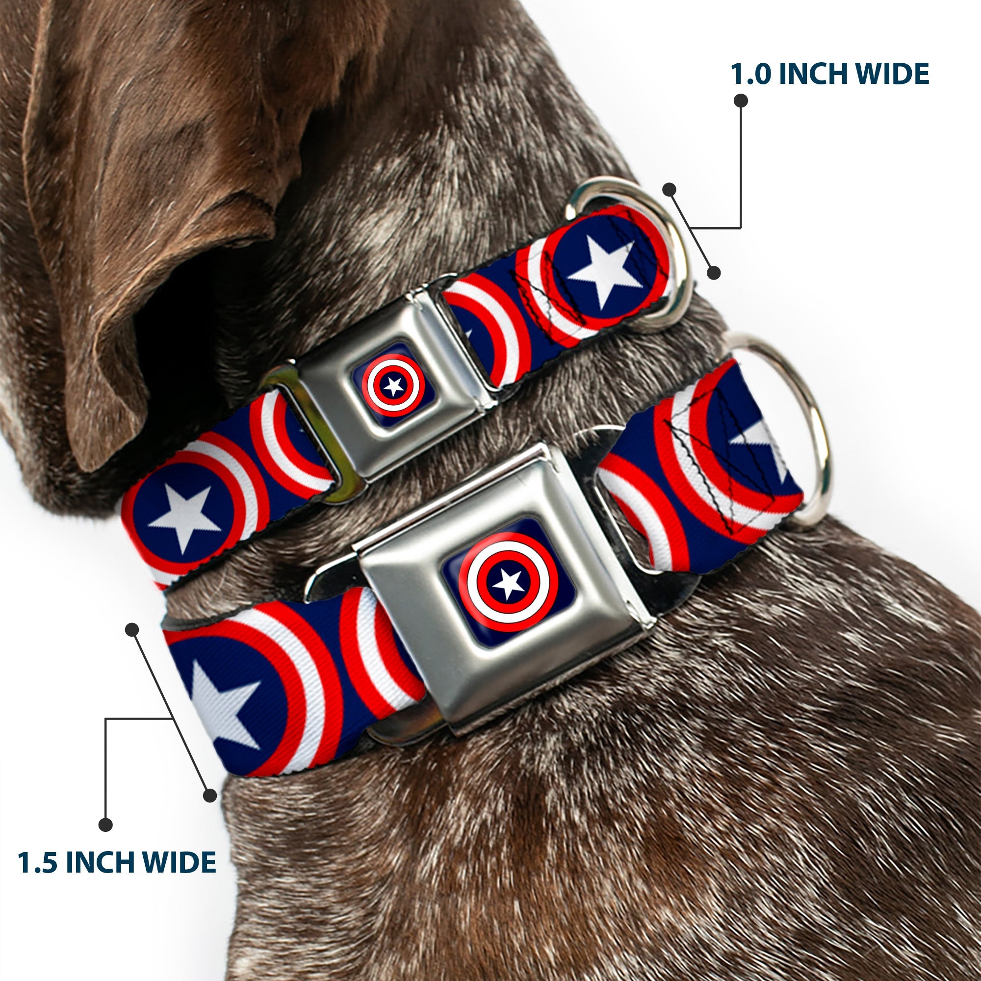 MARVEL COMICS Captain America Shield Full Color Navy Seatbelt Buckle Collar - Captain America Shield Repeat Navy