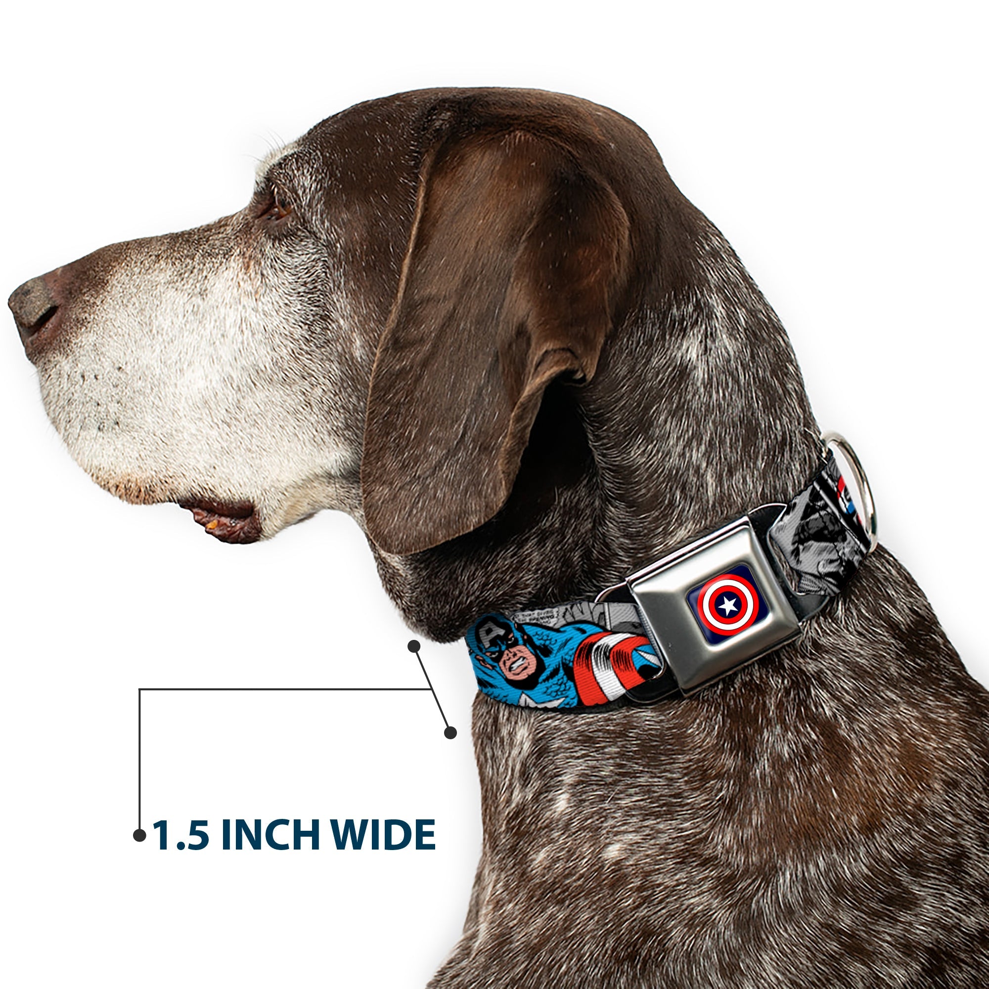 Captain America Shield Navy Seatbelt Buckle Collar - CAPTAIN AMERICA 2-Poses/Comic Blocks Grays/Red/White/Blue