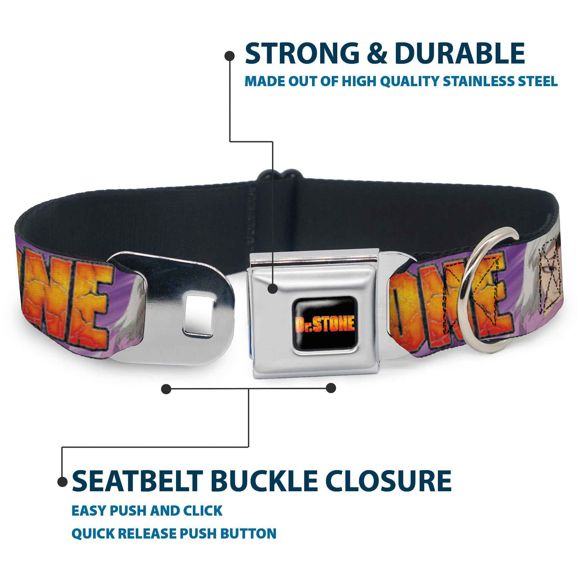 Buckle-Down Dr. Stone Title Logo Full Color Black/Orange Seatbelt Buckle Dog Collar - Dr. Stone Title Logo and Gen Asagiri Face Purples