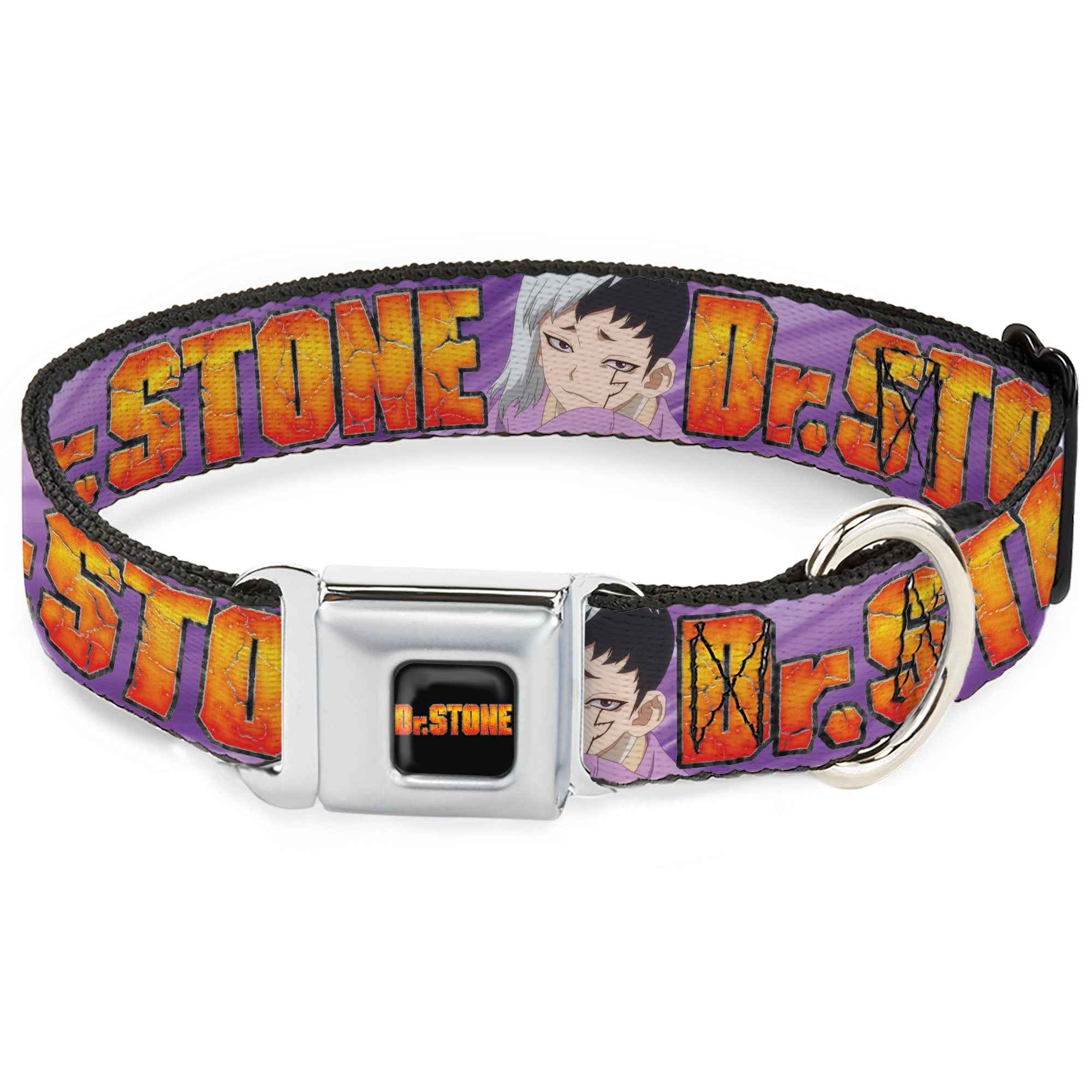 Buckle-Down Dr. Stone Title Logo Full Color Black/Orange Seatbelt Buckle Dog Collar - Dr. Stone Title Logo and Gen Asagiri Face Purples
