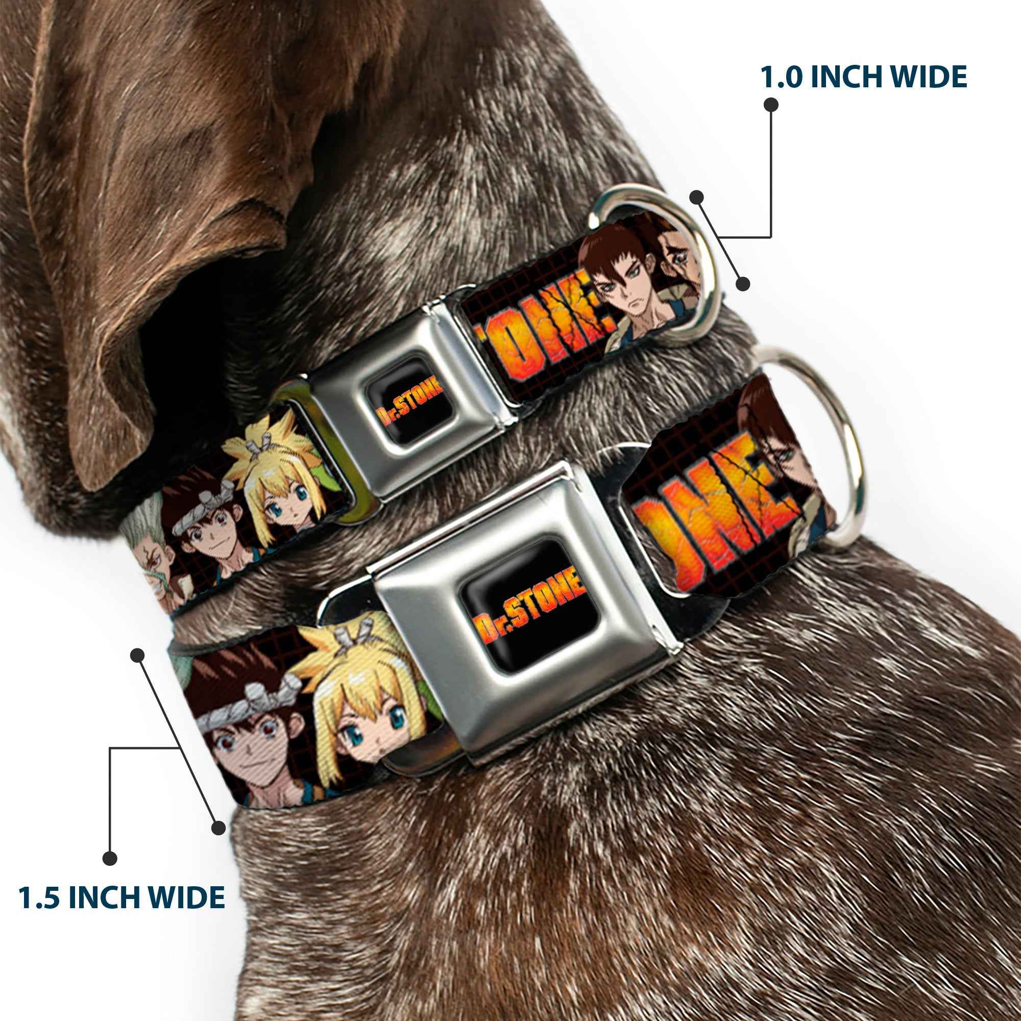 Buckle-Down Dr. Stone Title Logo Full Color Black/Orange Seatbelt Buckle Dog Collar - Dr. Stone Title Logo and Character Group Black