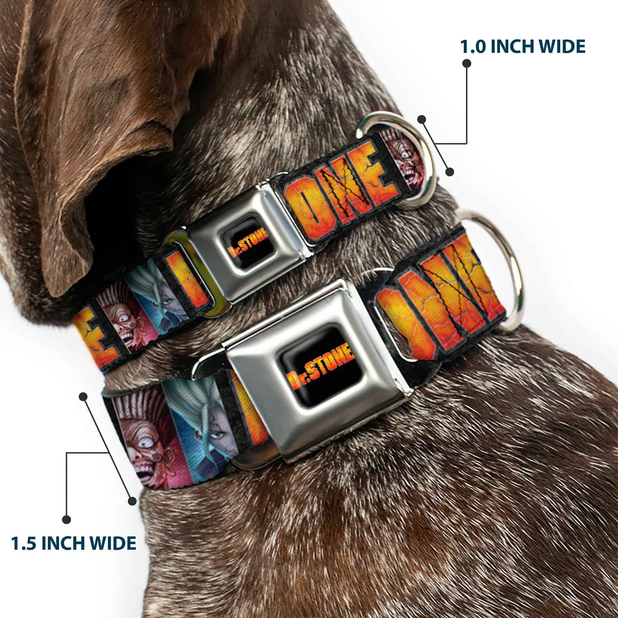 Buckle-Down Dr. Stone Title Logo Full Color Black/Orange Seatbelt Buckle Dog Collar - Dr. Stone Title Logo and Ibarra Senku Split Pose Black