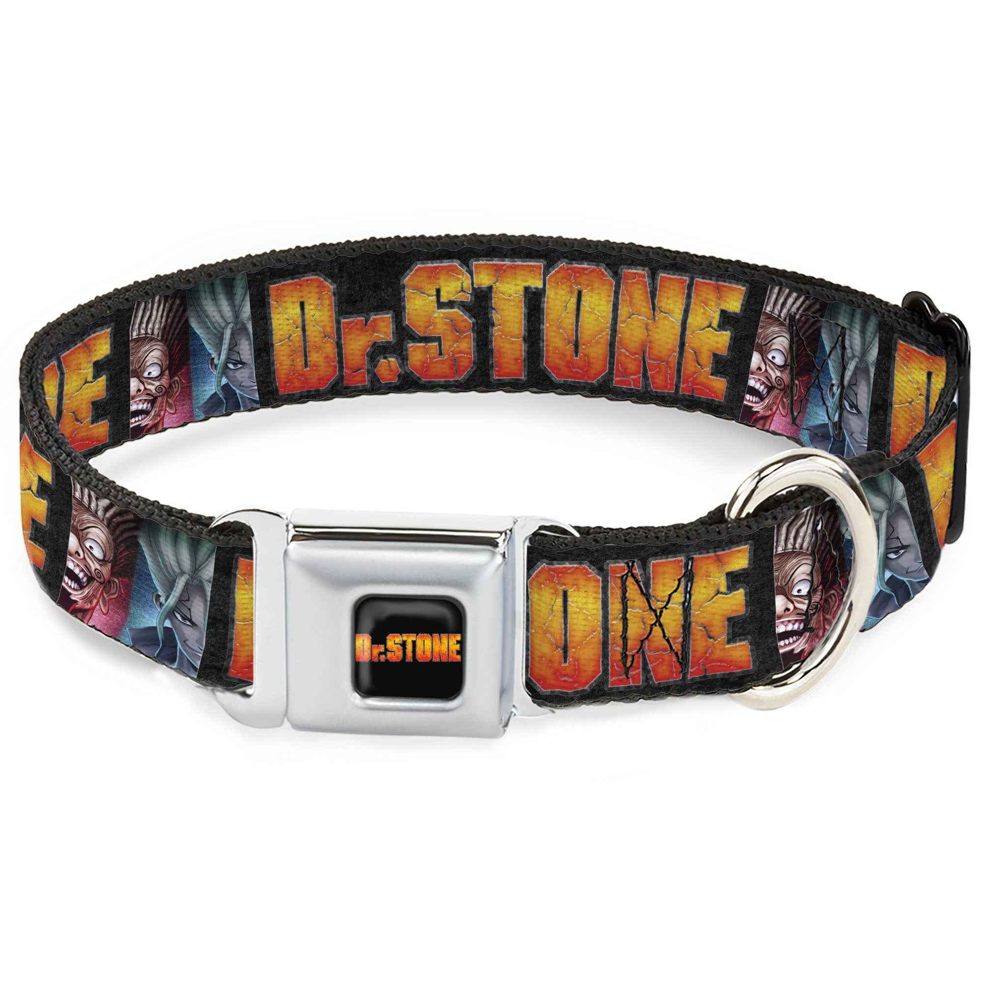 Buckle-Down Dr. Stone Title Logo Full Color Black/Orange Seatbelt Buckle Dog Collar - Dr. Stone Title Logo and Ibarra Senku Split Pose Black