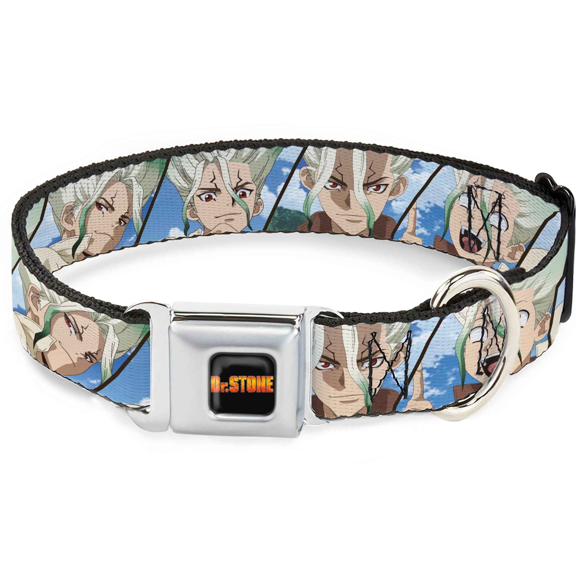 Buckle-Down Dr. Stone Title Logo Full Color Black/Orange Seatbelt Buckle Dog Collar - Dr. Stone Senku Ishigami Expression Blocks Blues