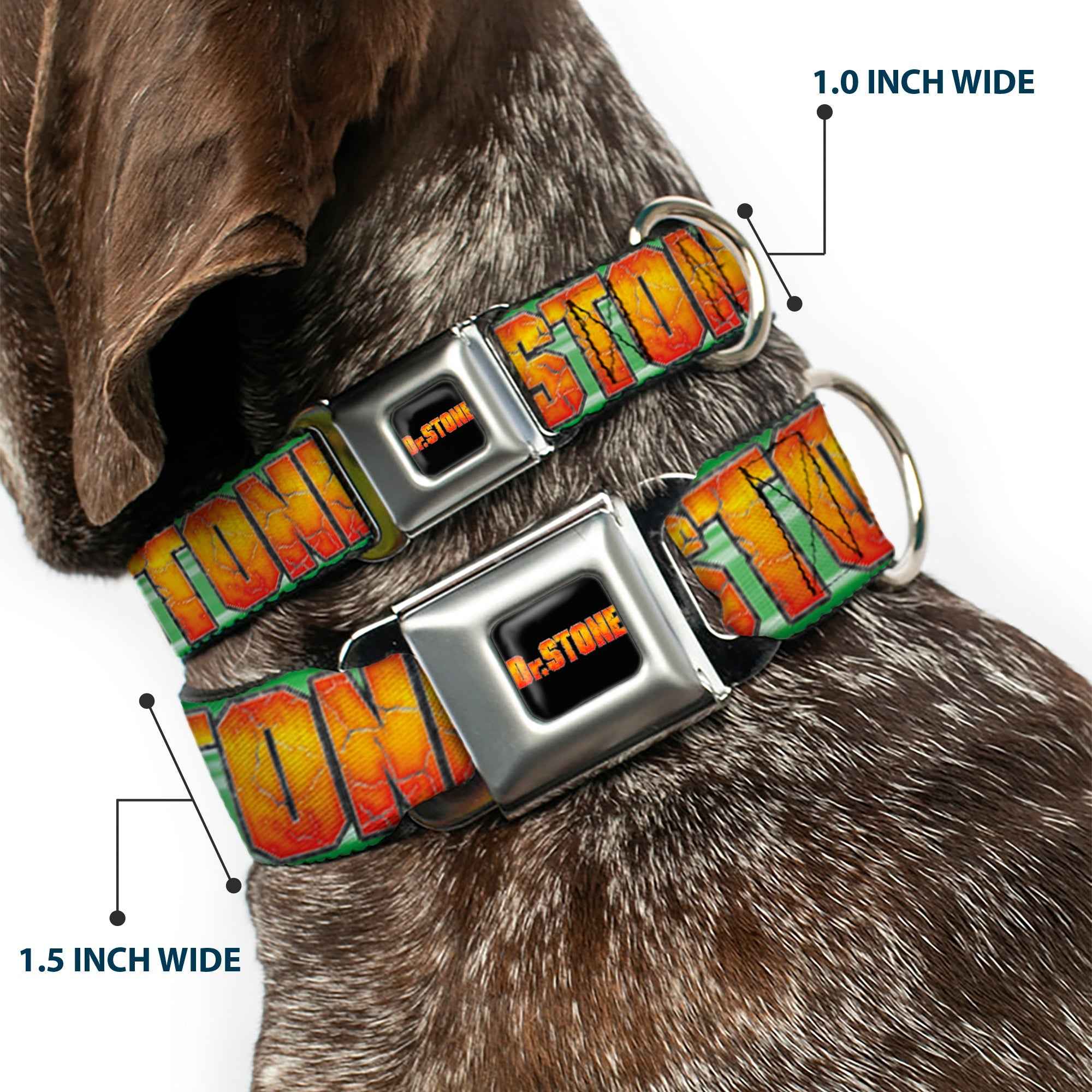 Buckle-Down Dr. Stone Title Logo Full Color Black/Orange Seatbelt Buckle Dog Collar - Dr. Stone Title Logo and Suika Face Close-Up Greens