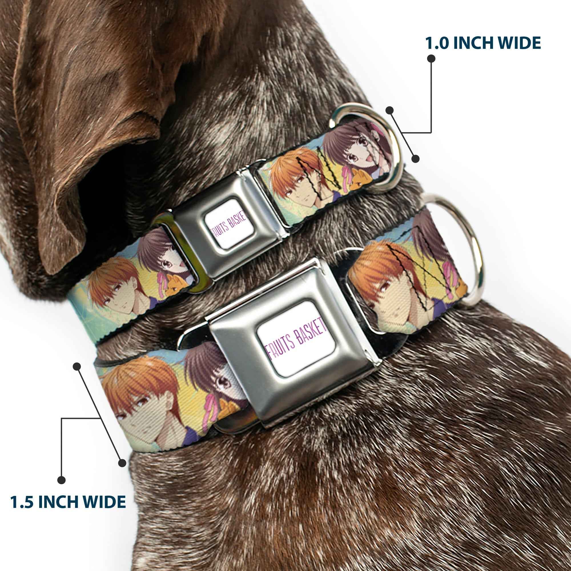 Buckle-Down Fruits Basket Title Logo Full Color White/Purple Seatbelt Buckle Dog Collar - Fruits Basket Kyo Tohru Yuki Group Pose Greens/Blues