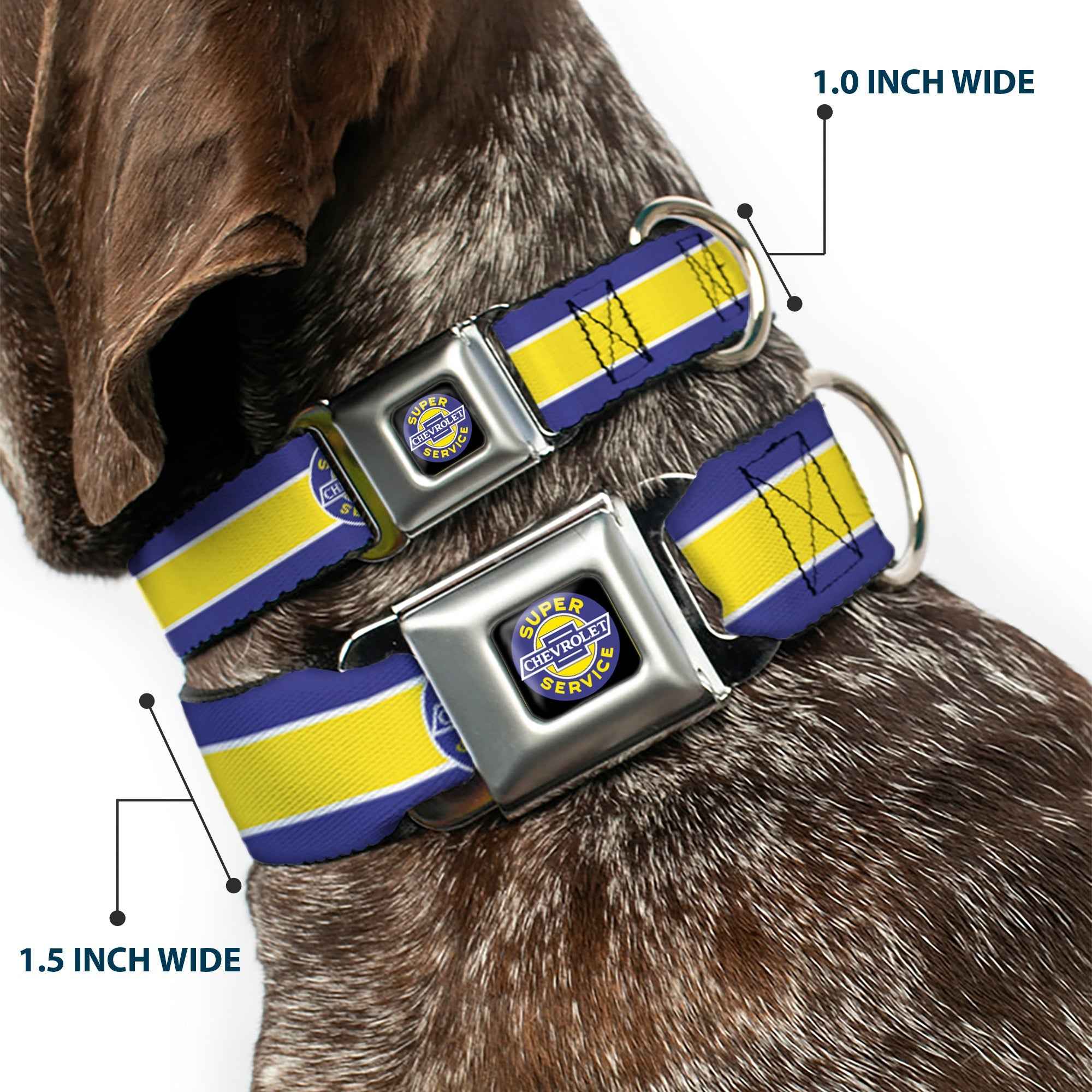 Buckle-Down Chevrolet Super Service Logo Black/Blue/Yellow/White & Logo/Stripe Blue/White/Yellow Seatbelt Buckle Dog Collar